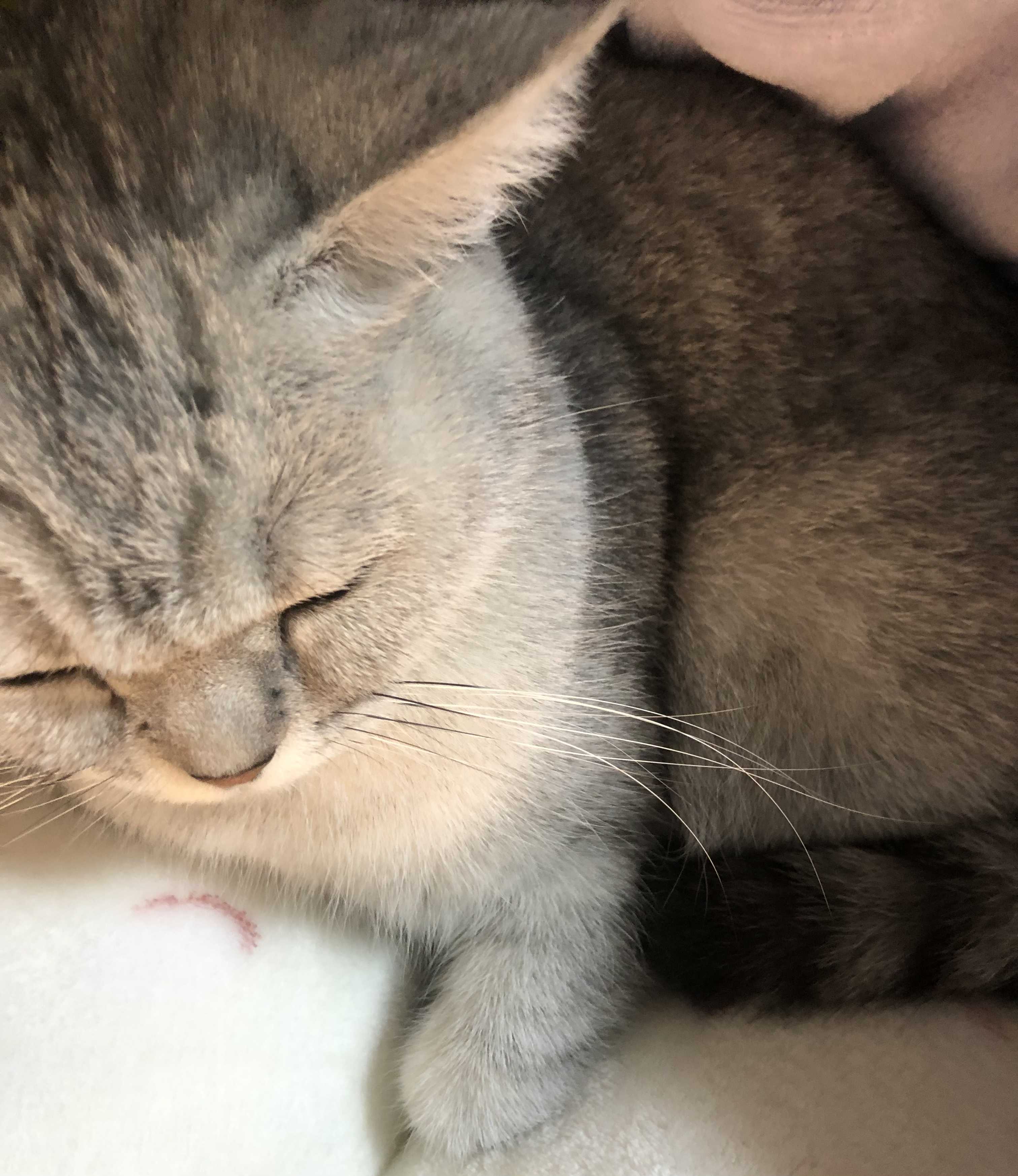 。。
