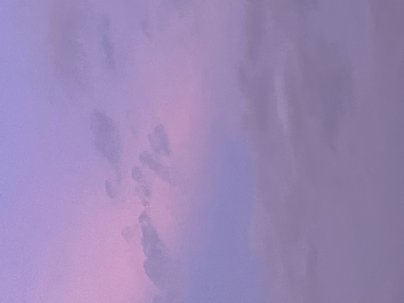 李安静