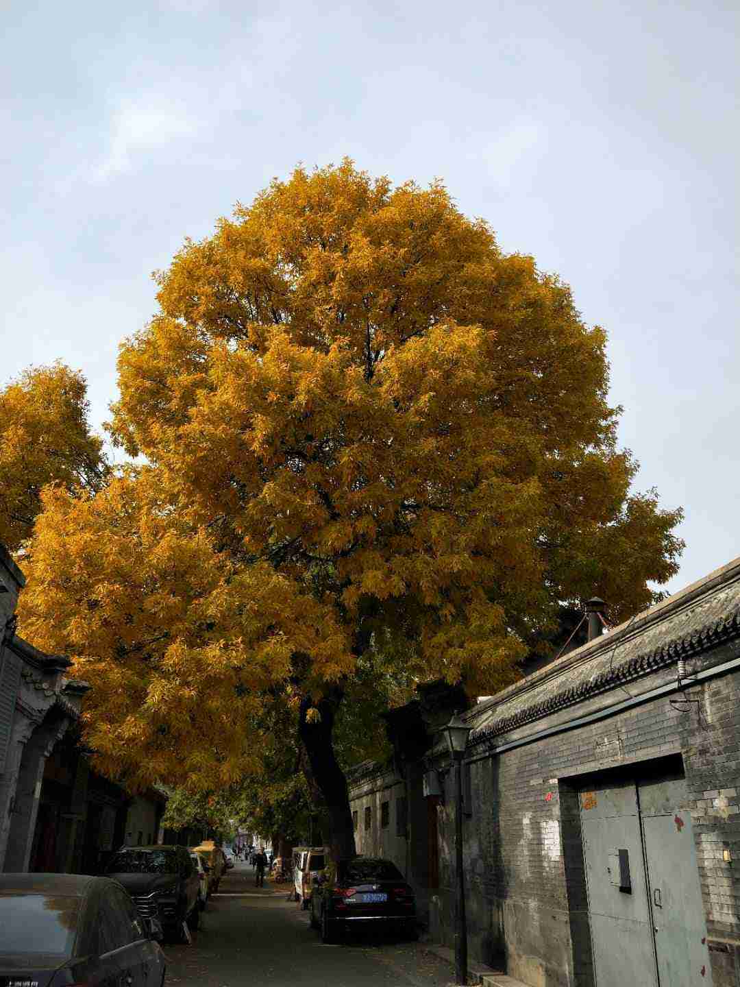 life_photo_0