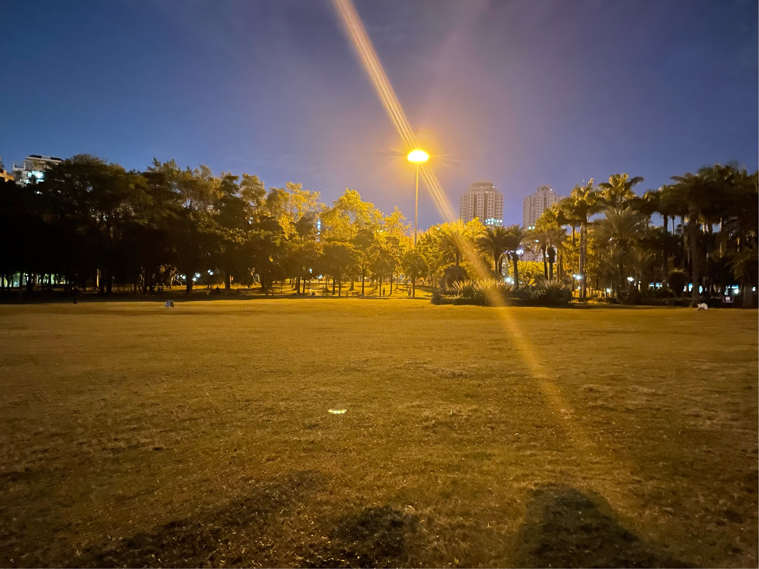 Shenzhen Nanshan | 1号线桃园_0