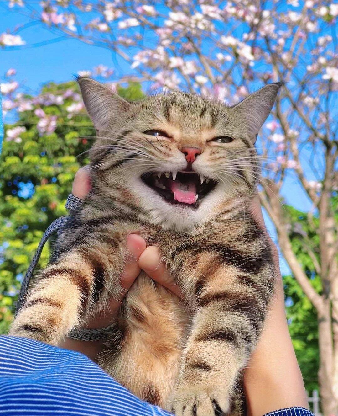 溺馥