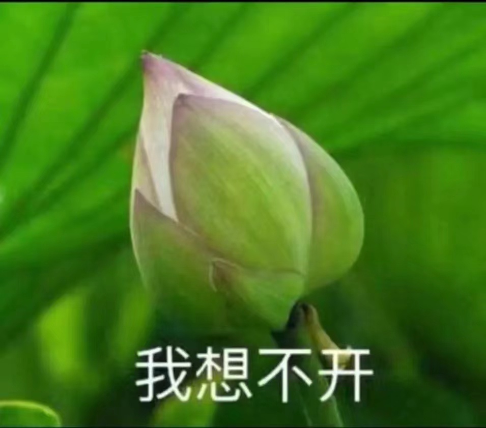 北鱼不该在黛溪打怪