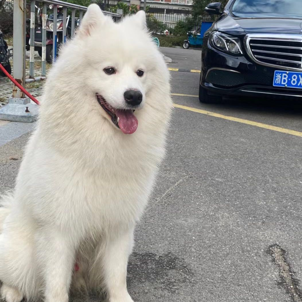 大城小爱
