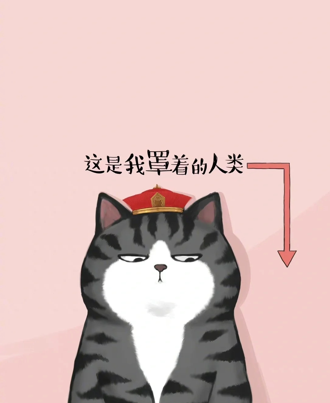 苏沐秋