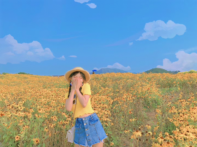 九孔桥花海 Flower Land