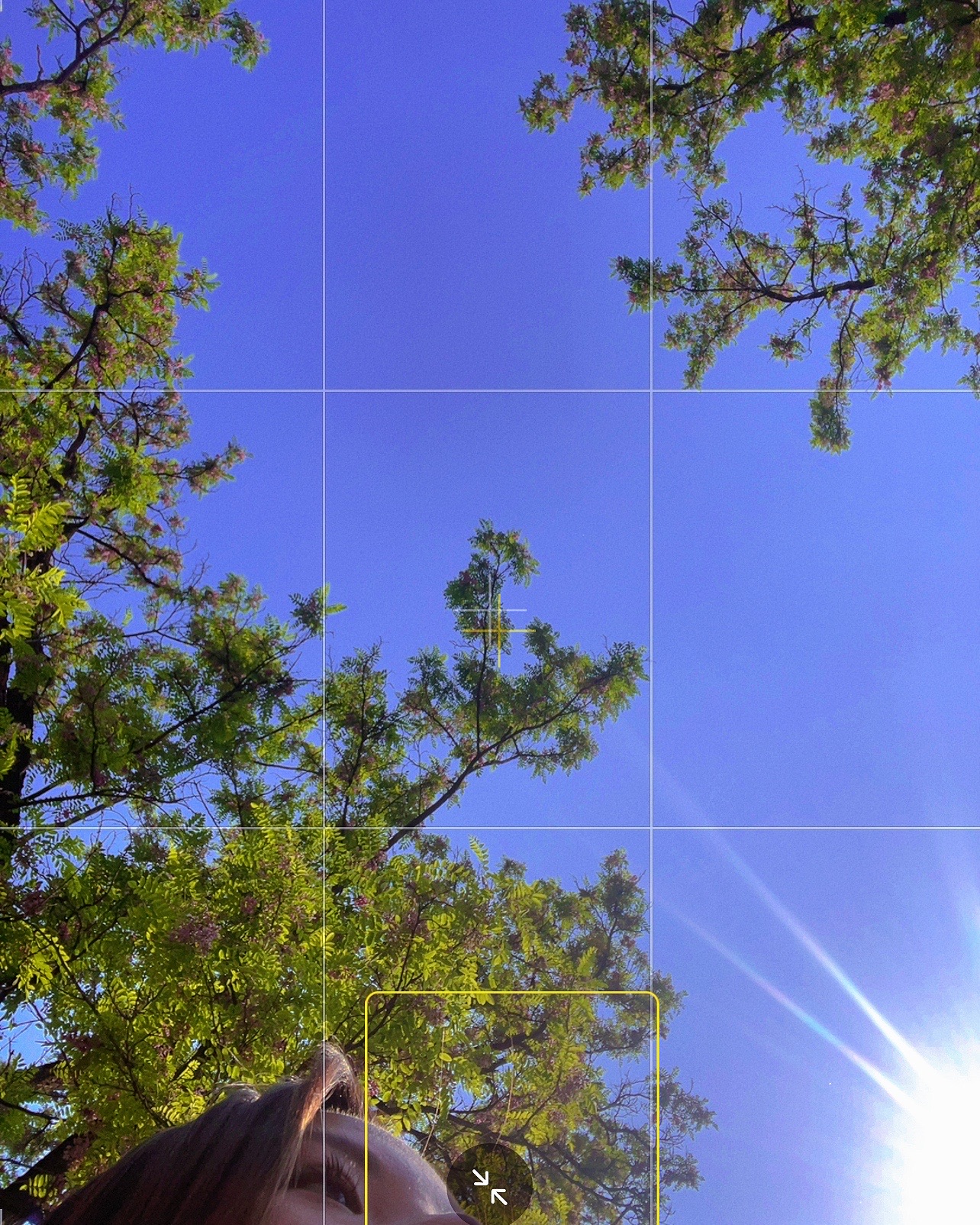 出租两居室，看我资料📃水碓子