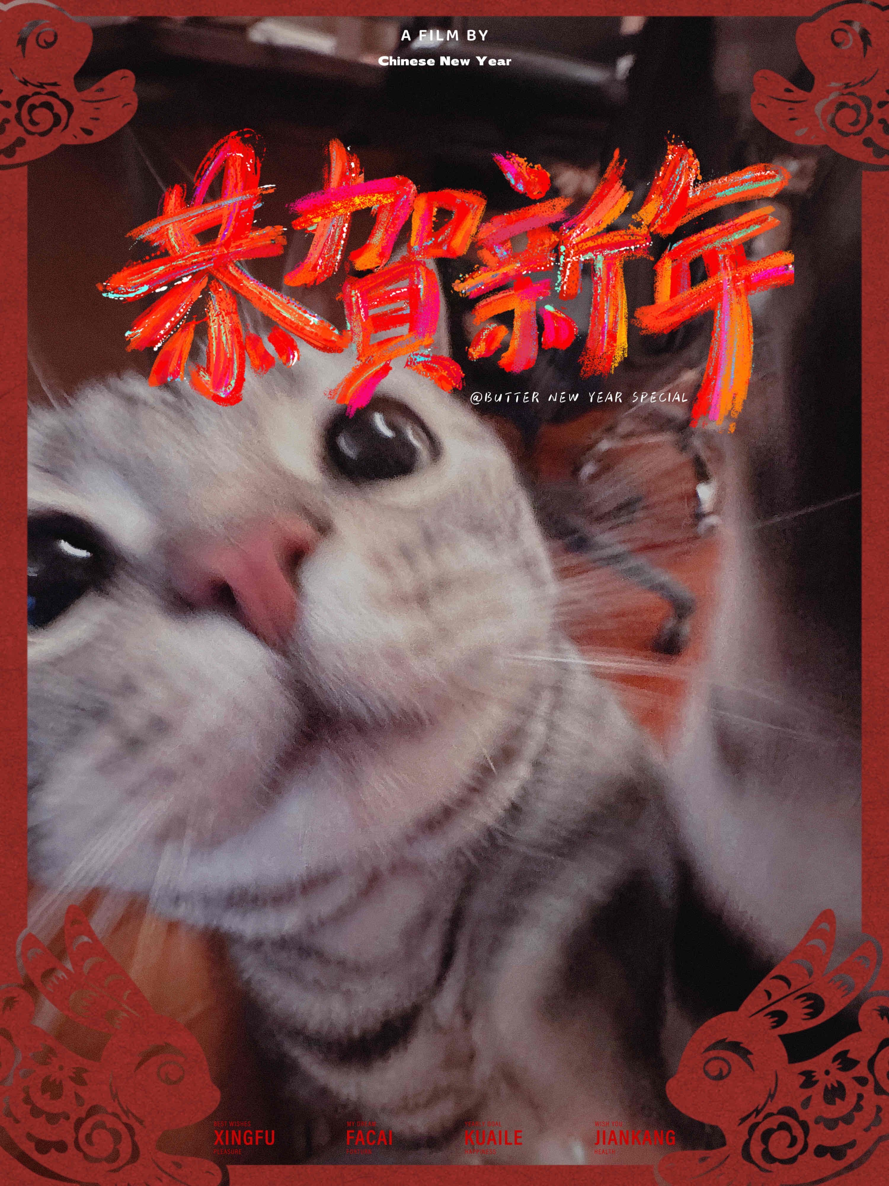 凯蒂姐姐