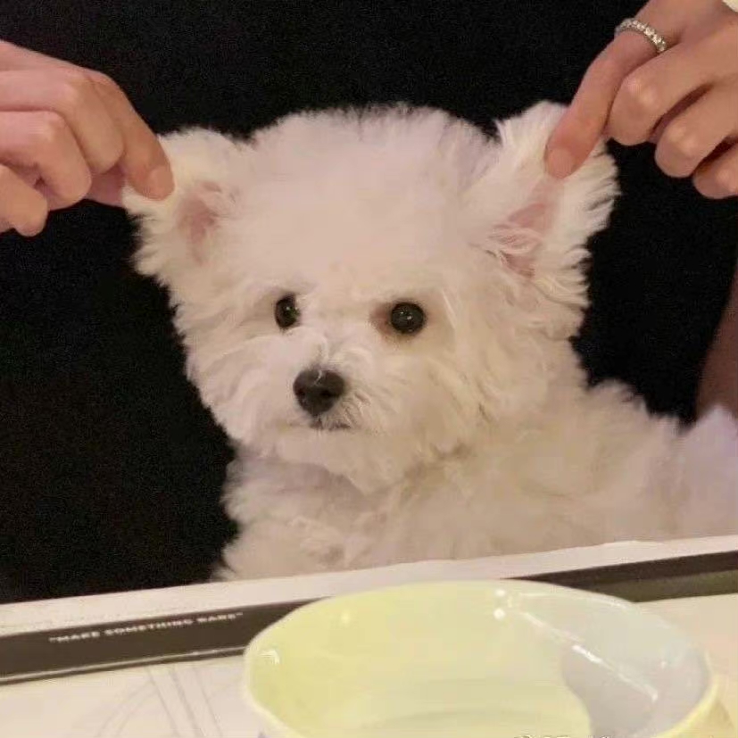 小吴