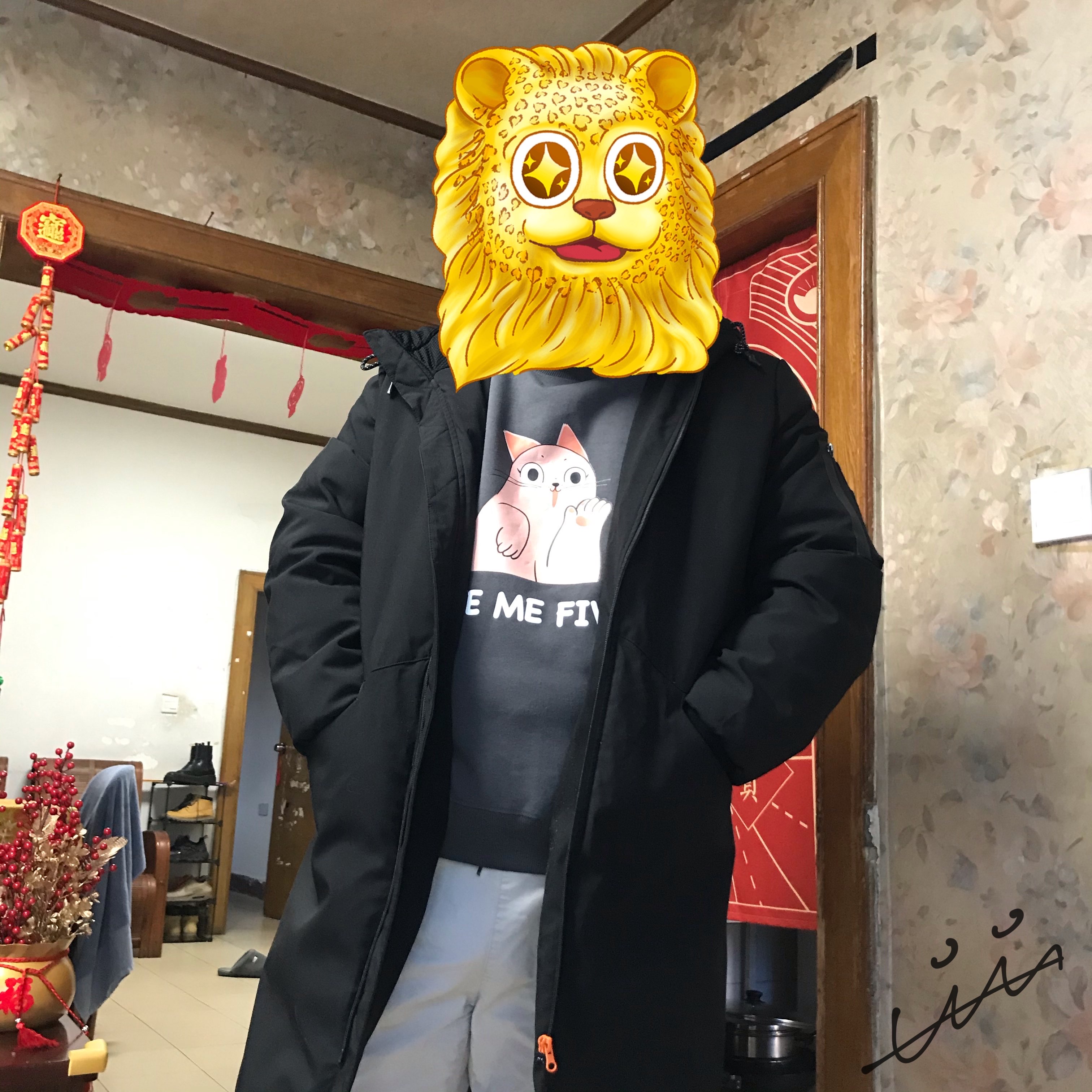 感谢🙏wellcee的新年礼物🎁