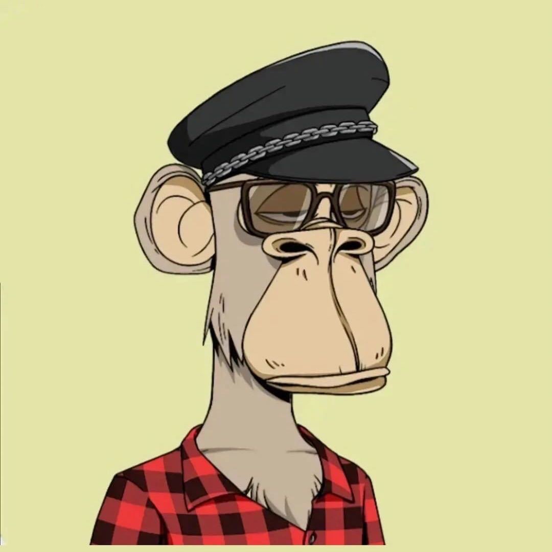 迷失的Monkey