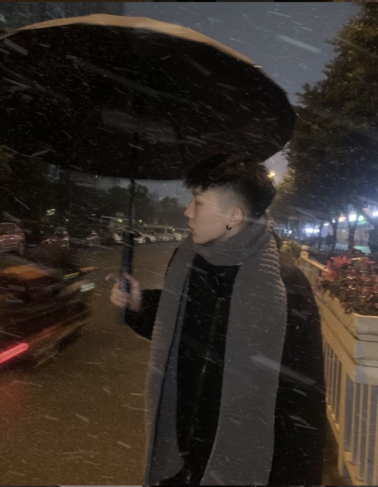 这个杀手不太冷