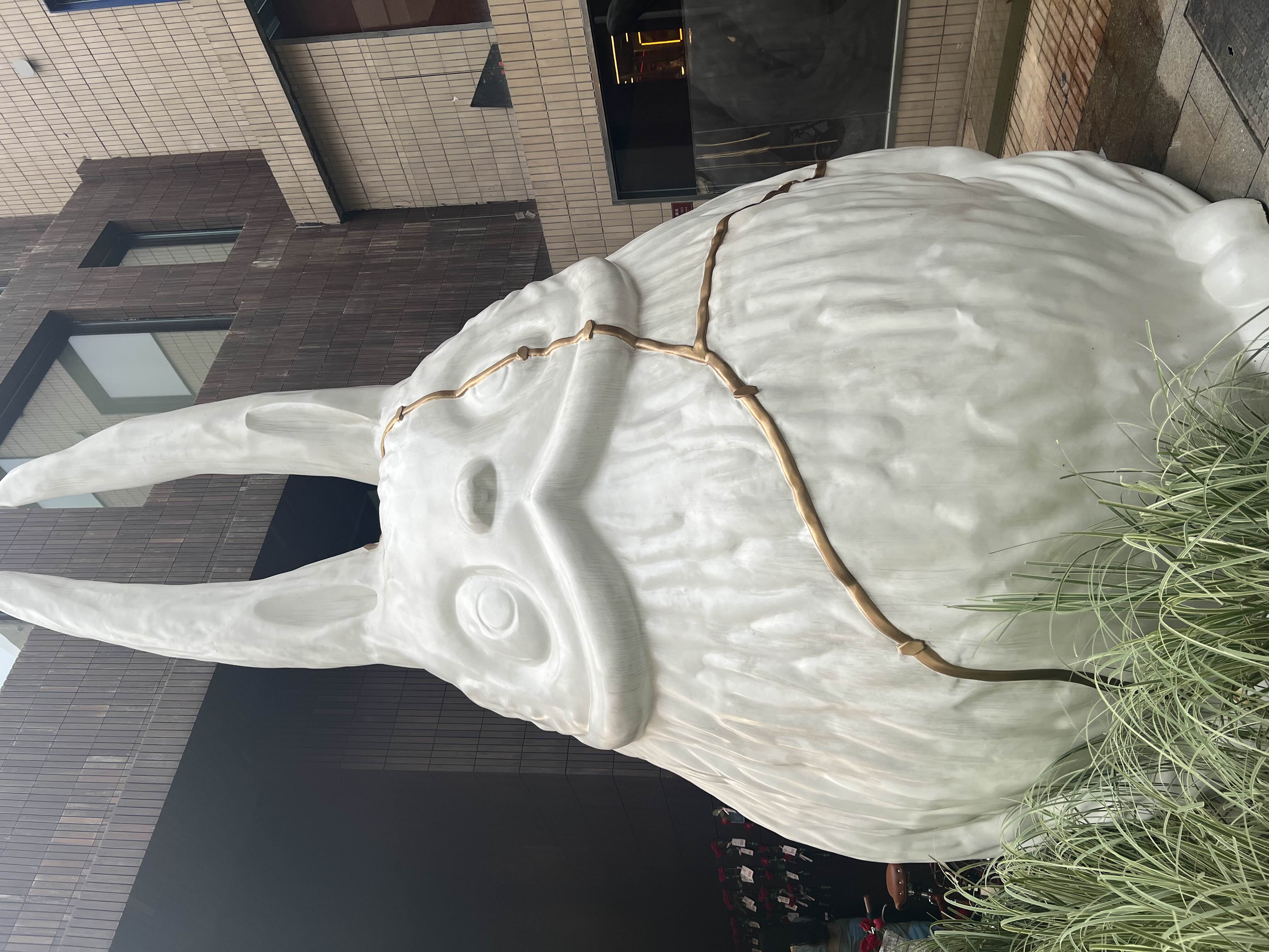 这种兔子见过吗？