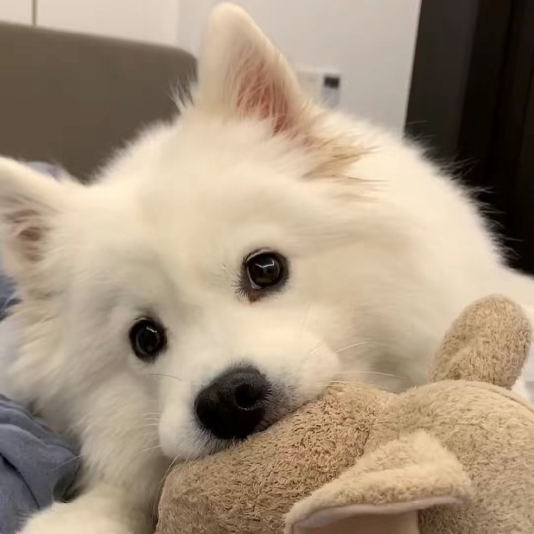 熊