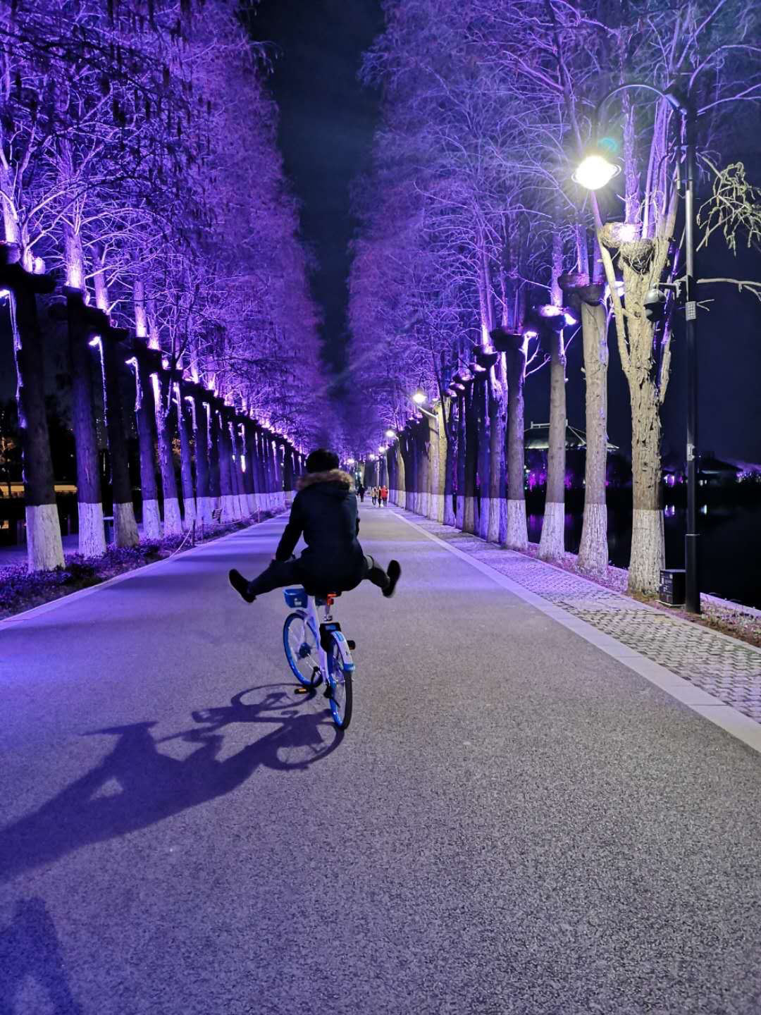 王健军