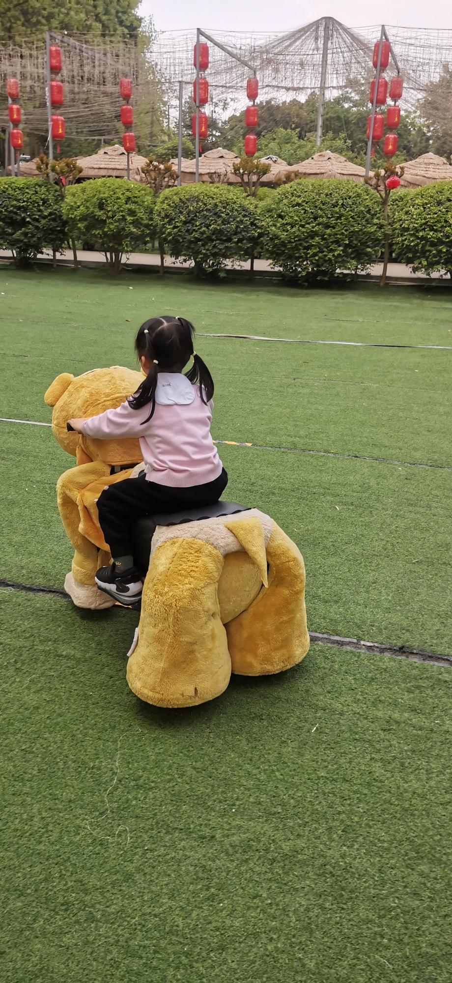 胡女士