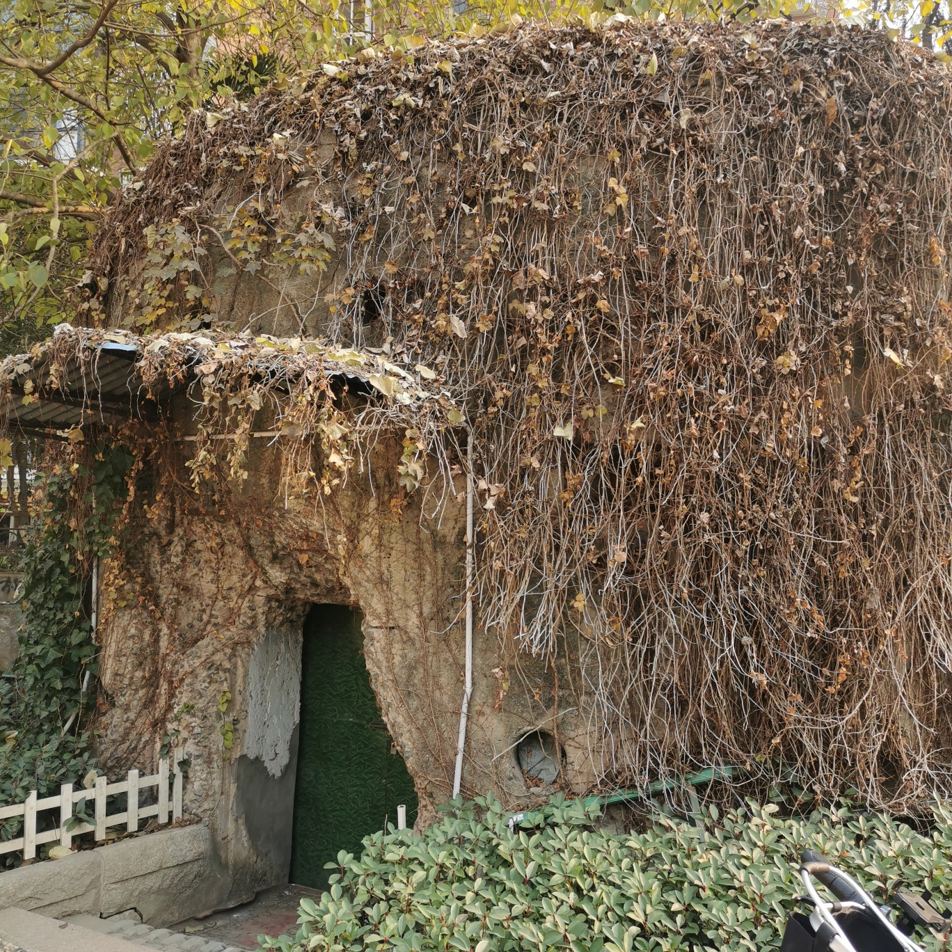 阳逻房东（独立厨卫）