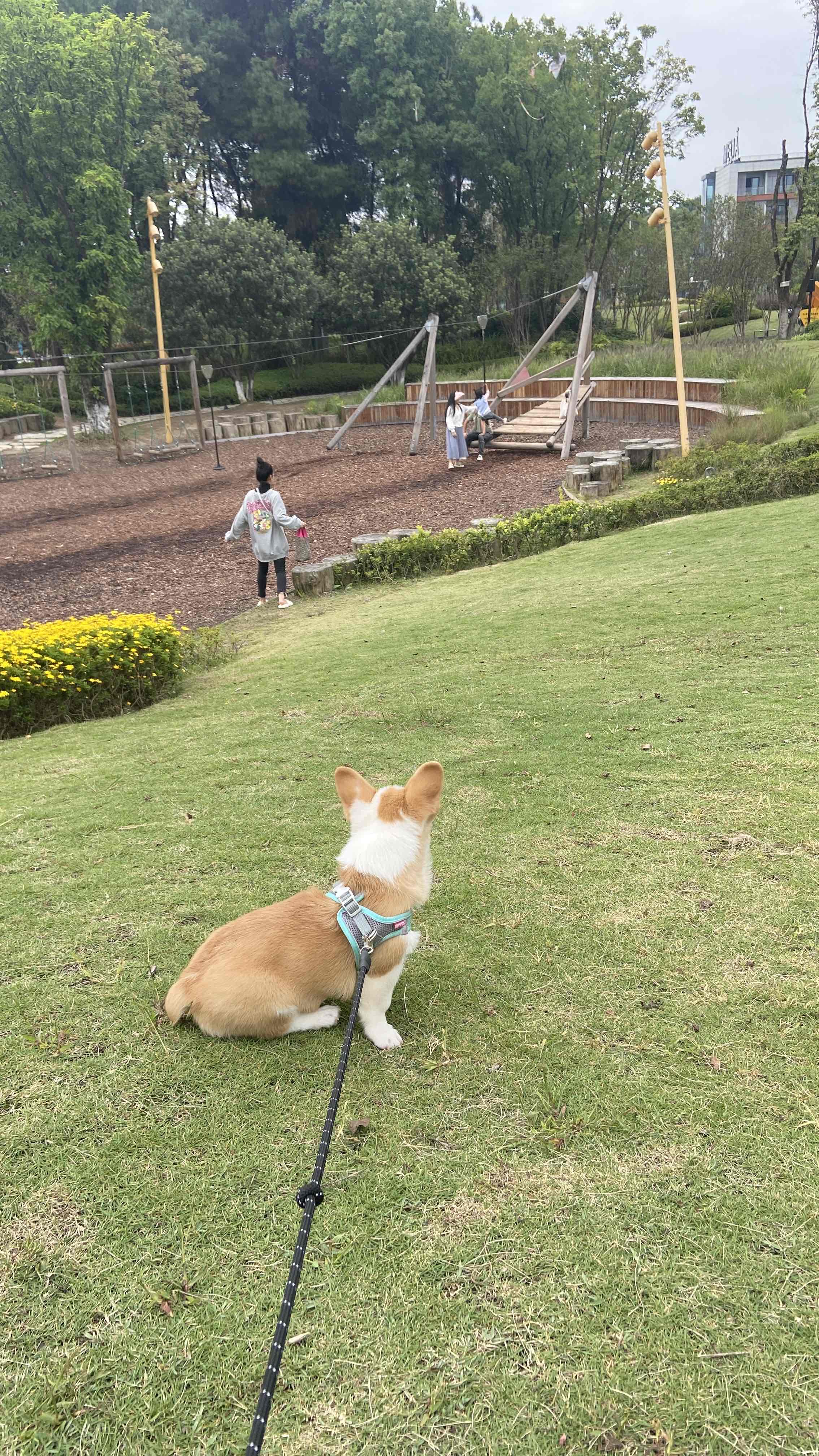 清风