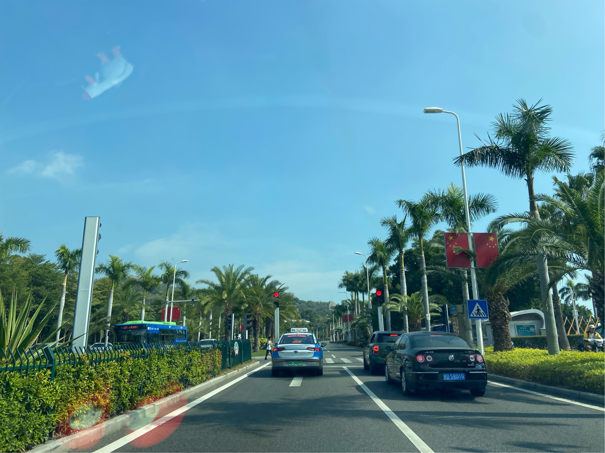 很喜欢这个城市的椰子树，会觉得自己在海岛度假