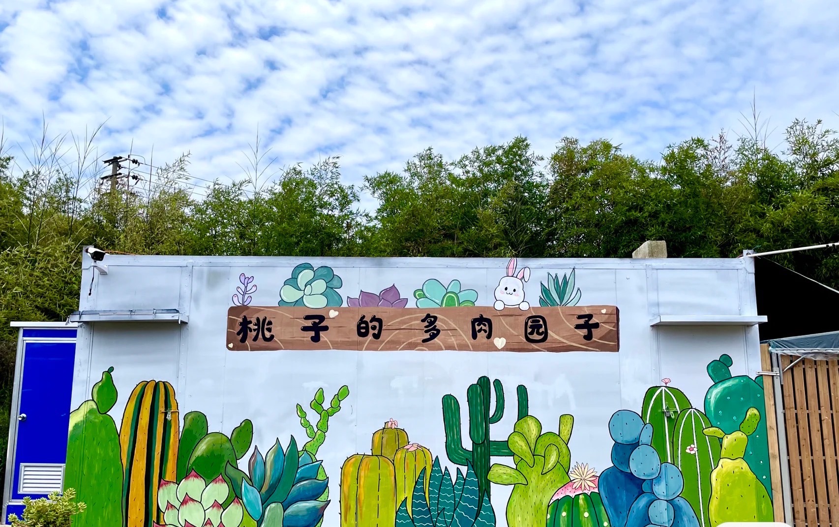 恋恋