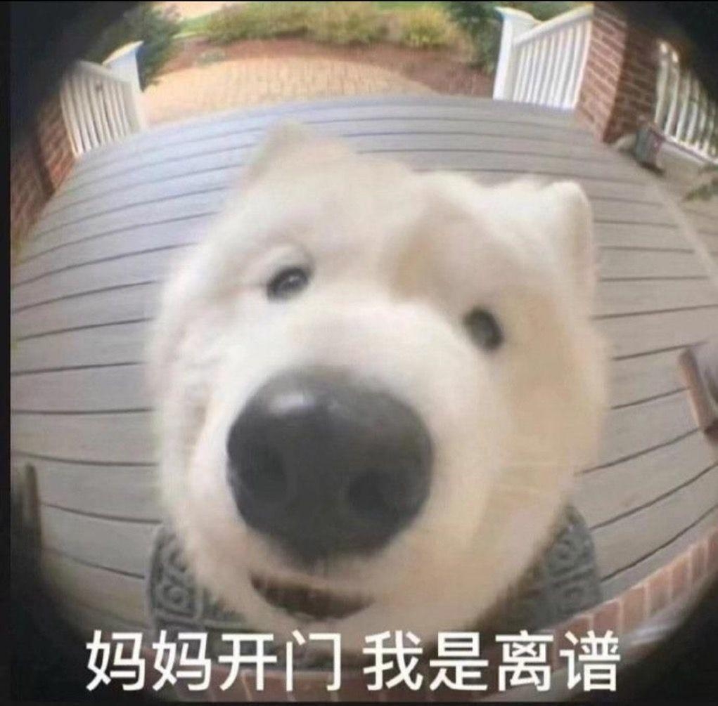 白涛