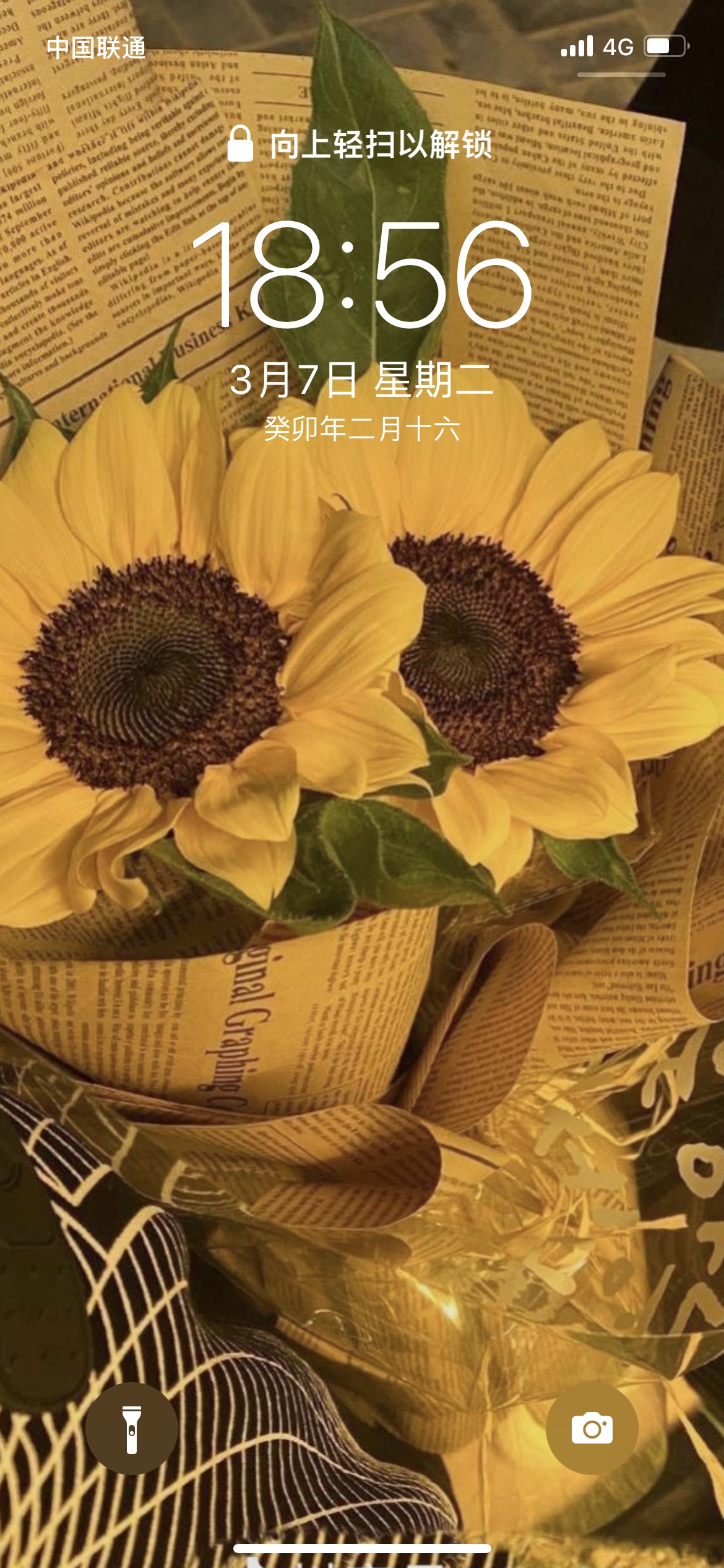 果果