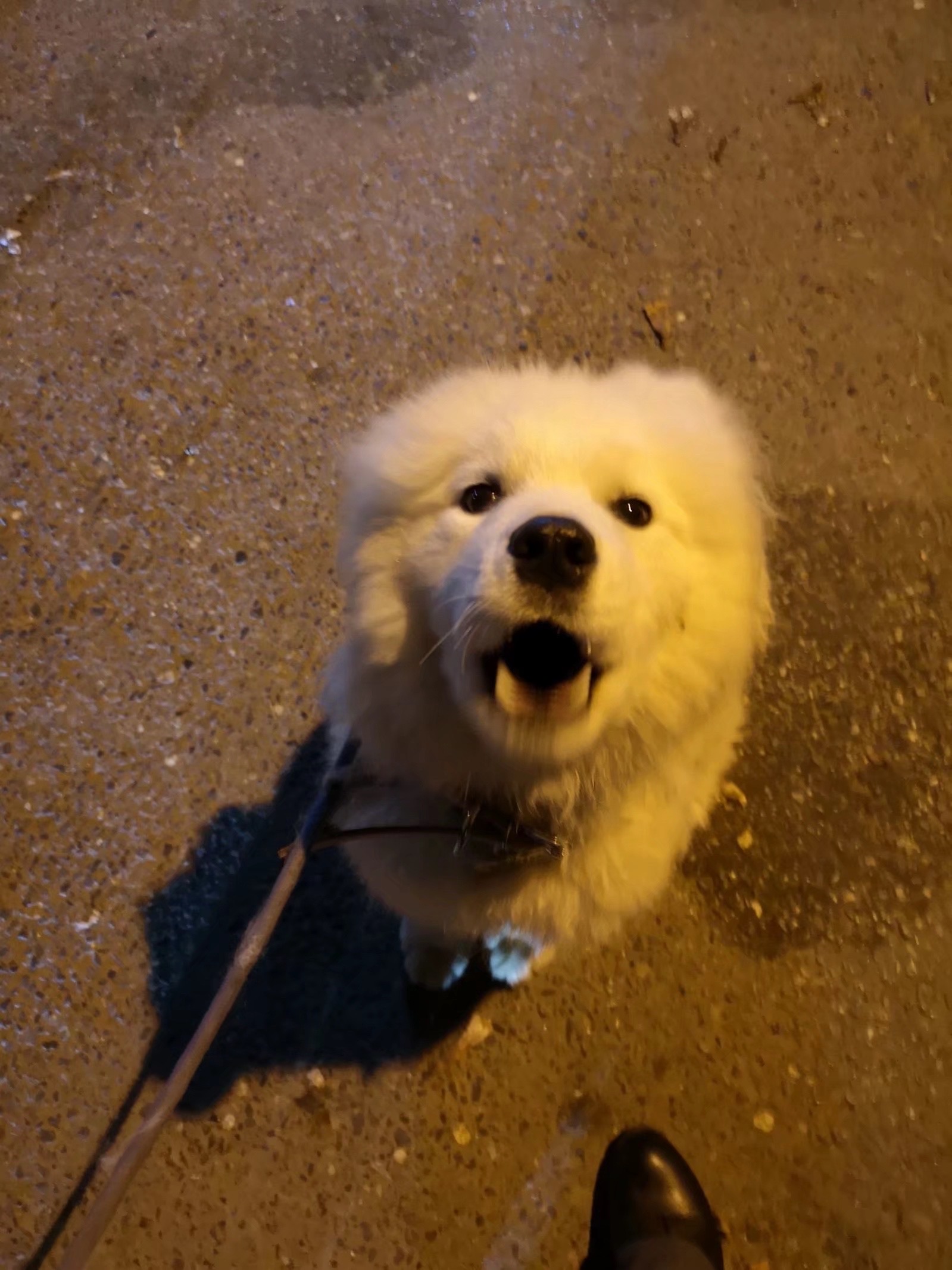 你欠钱的微信就像无语子讲
