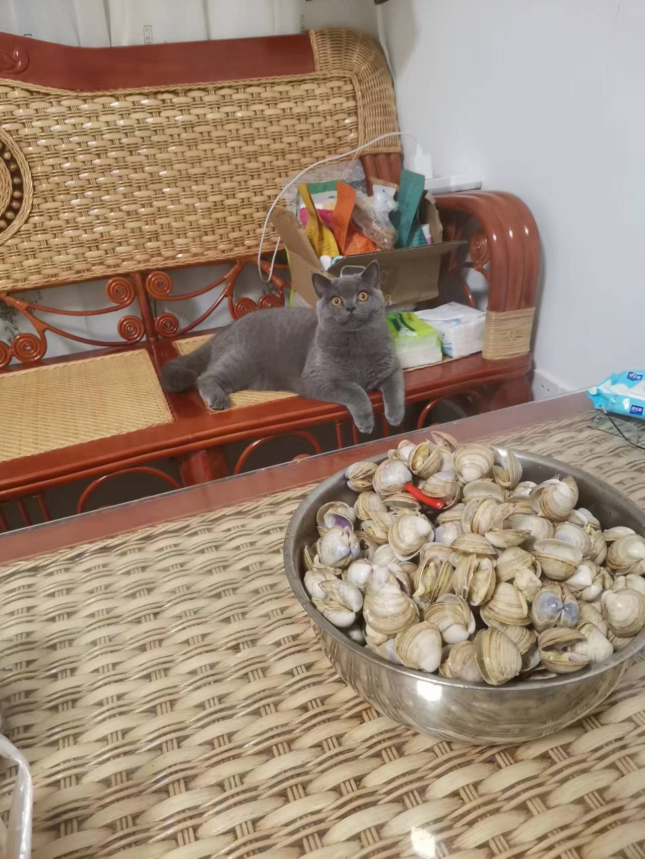 陈思