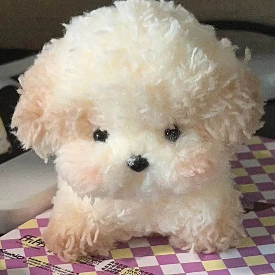 晚安