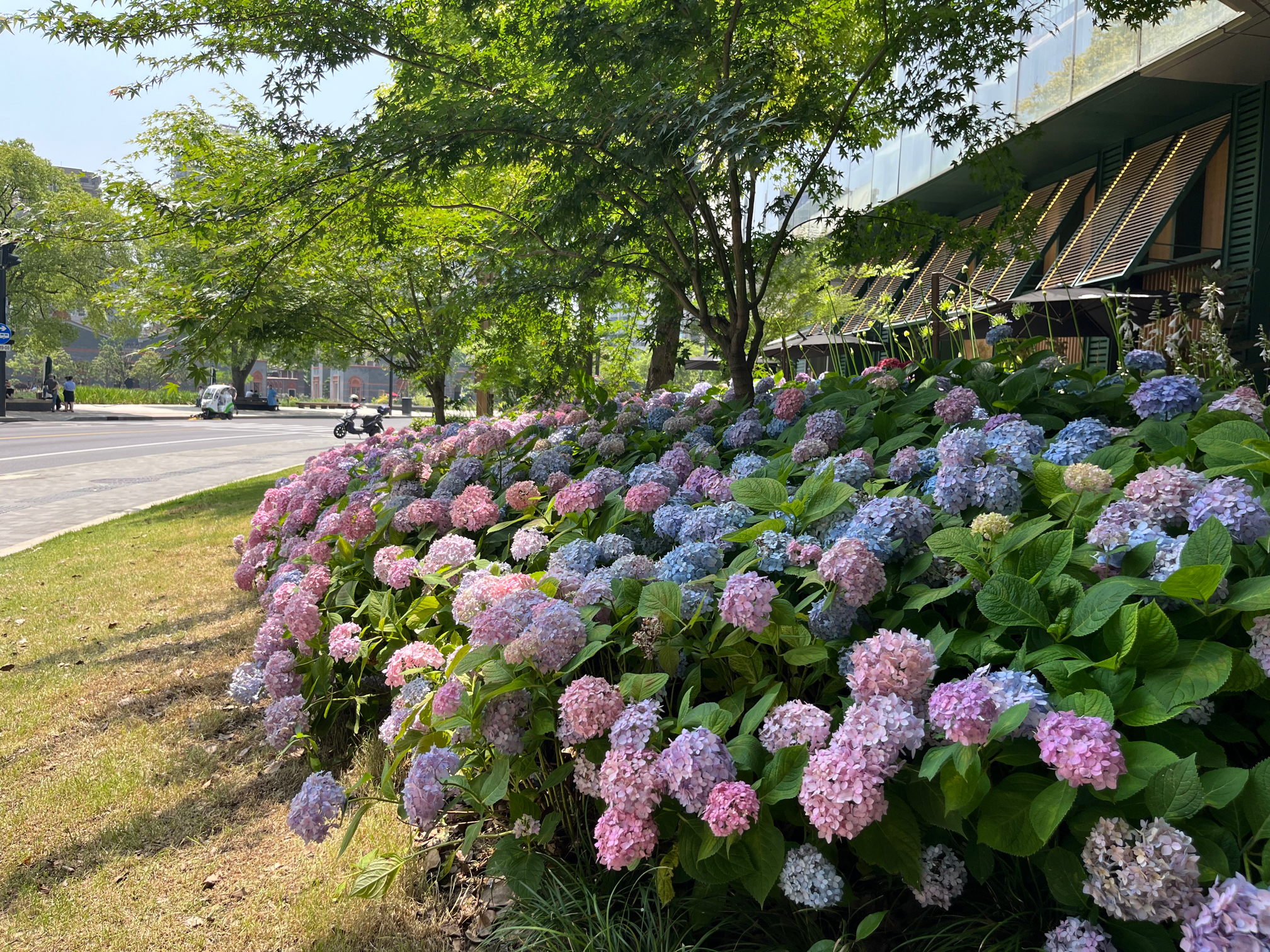 郁郁