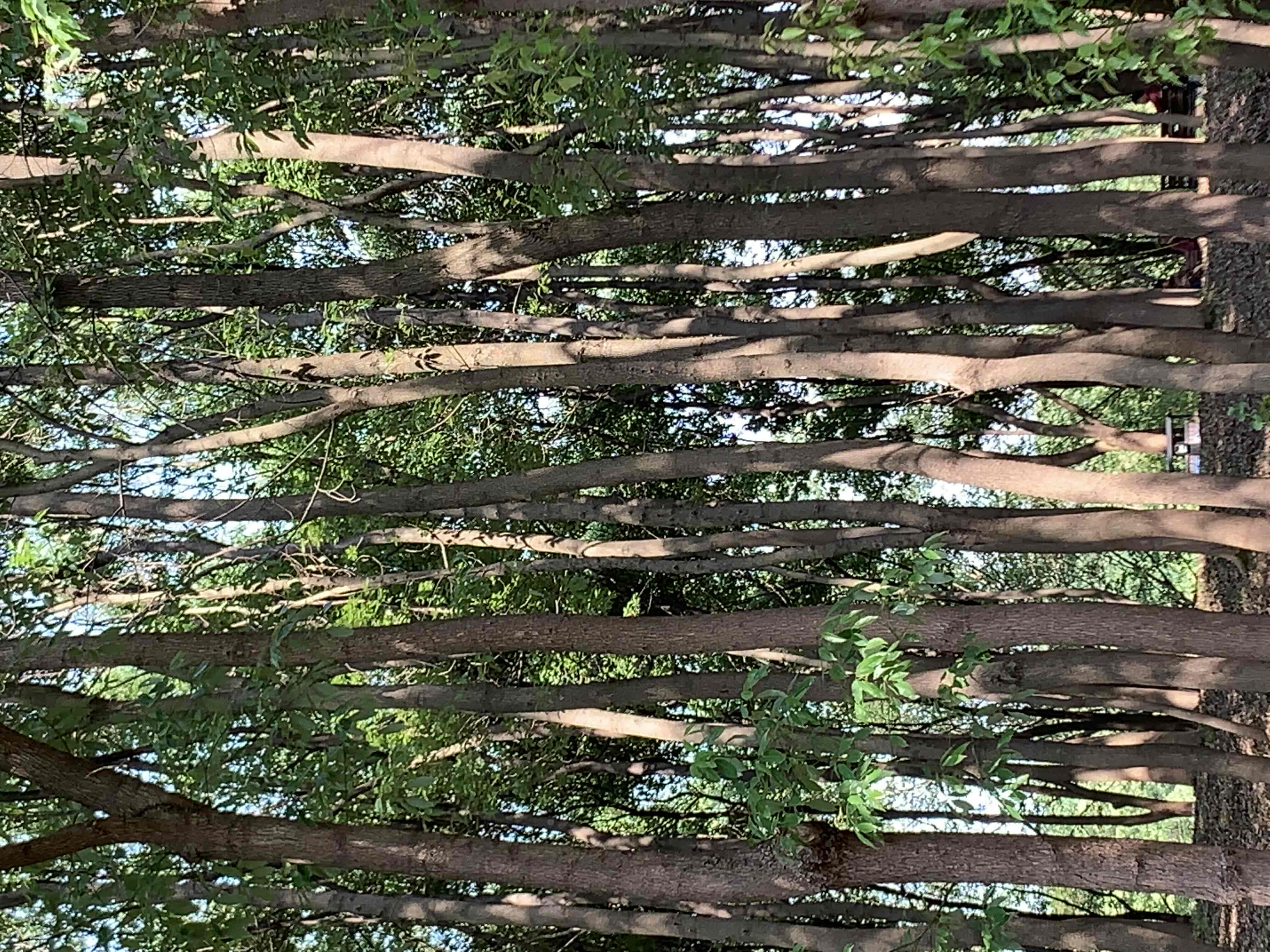 1+
