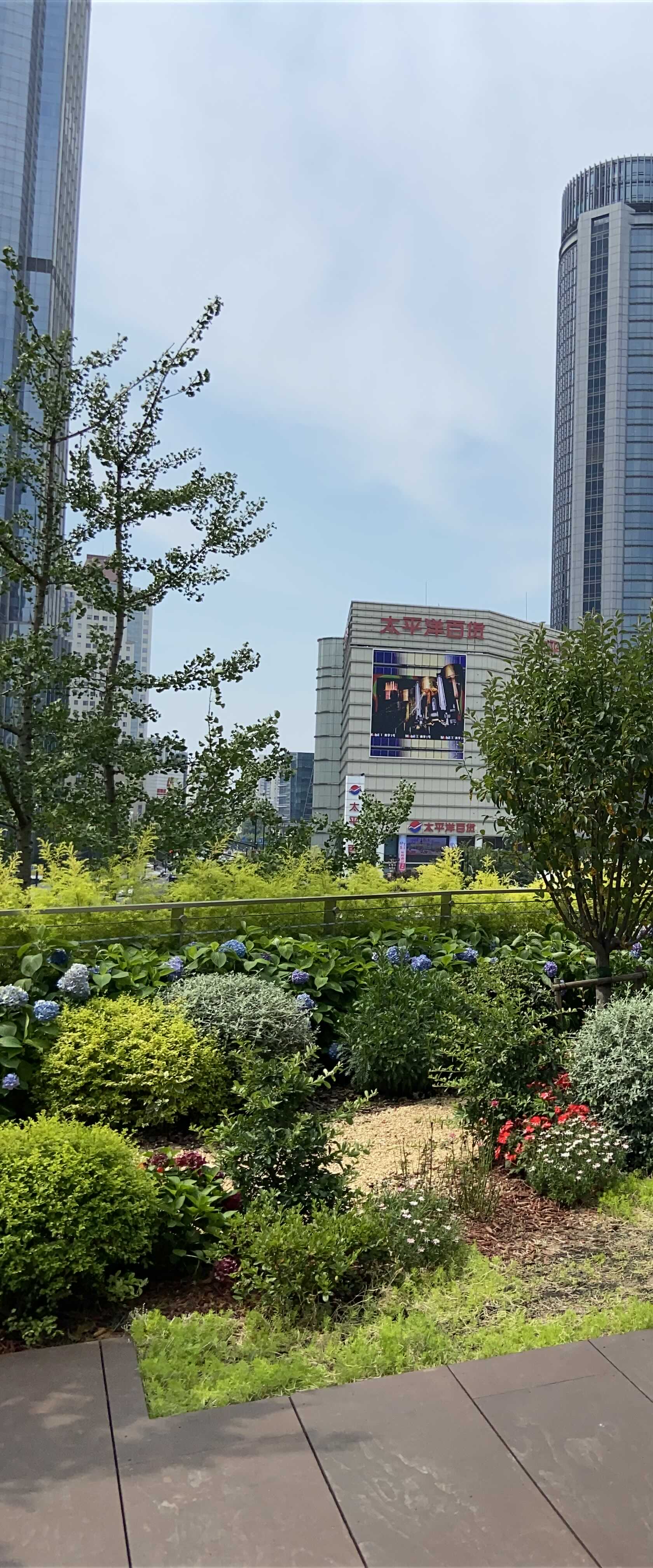 徐家汇，从十几年前到如今，也算是真爱勒