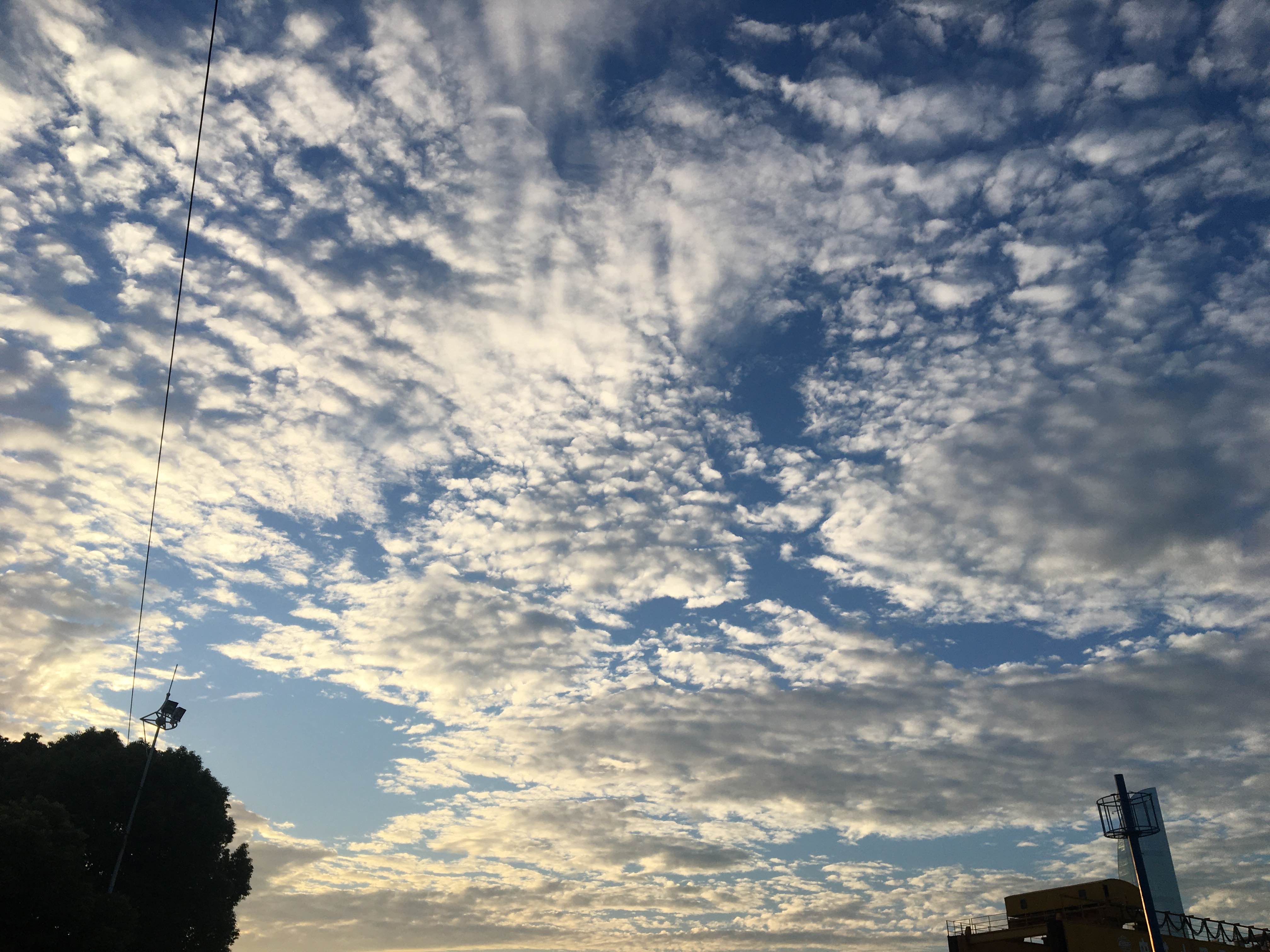 春丽吖