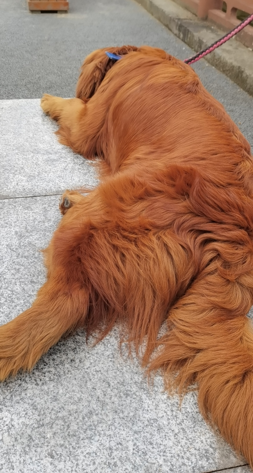 李