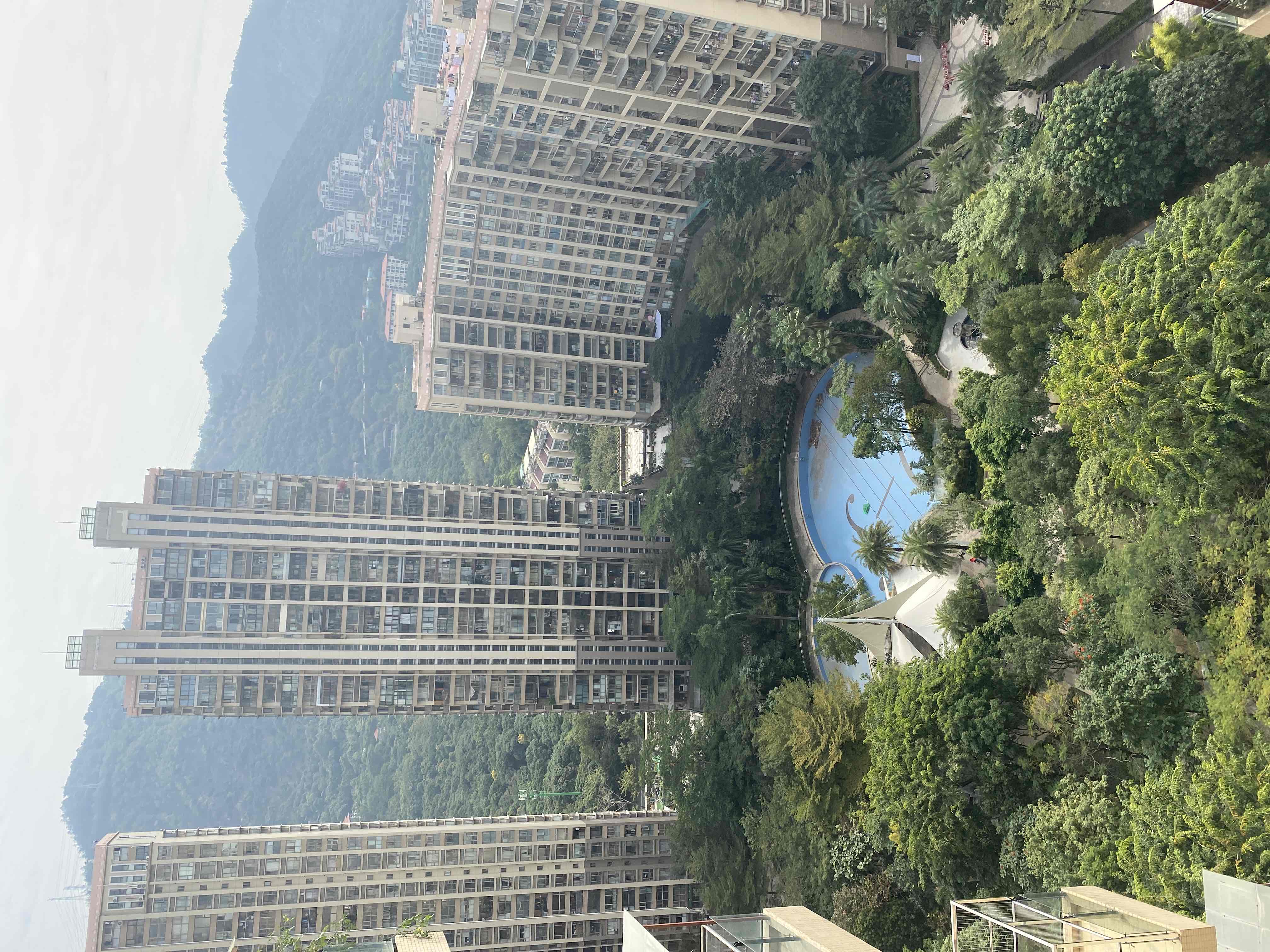 丽雪