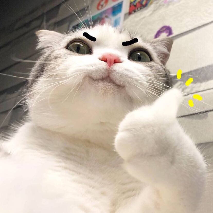 楷