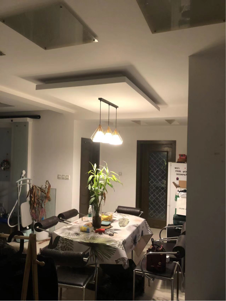 shanghai-putuo-long-term-seeking-flatmate-shared-apartment-pet-friendly
