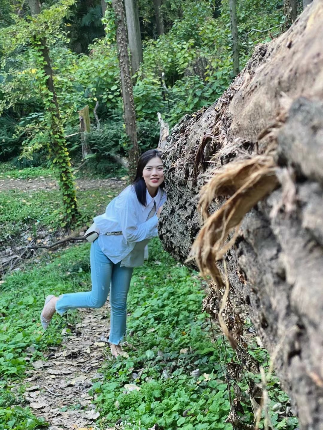 我决定房租降价了