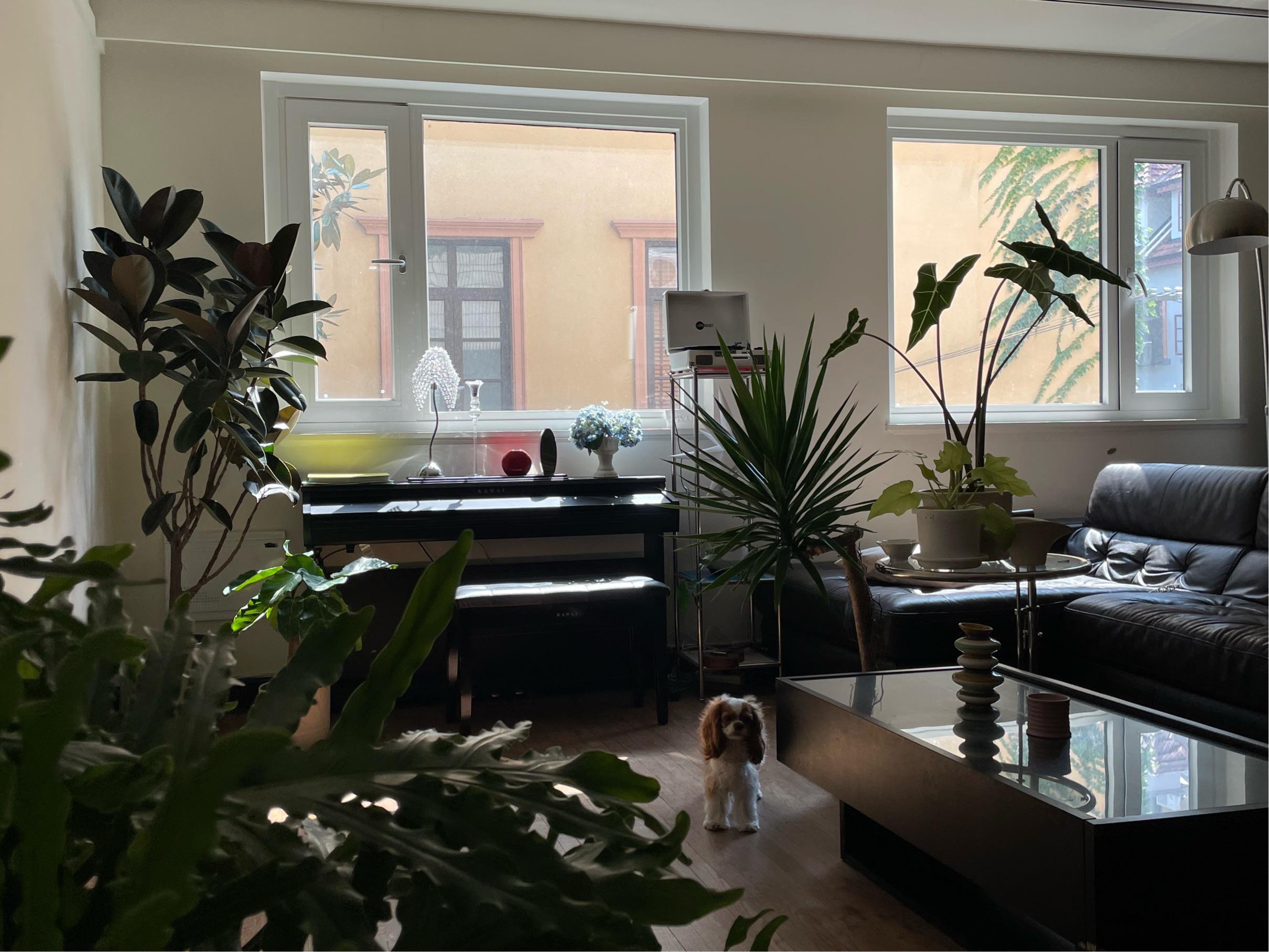 Gallery Detail: Shanghai Xuhui Long Term Seeking Flatmate Shared Apartment Lgbtq