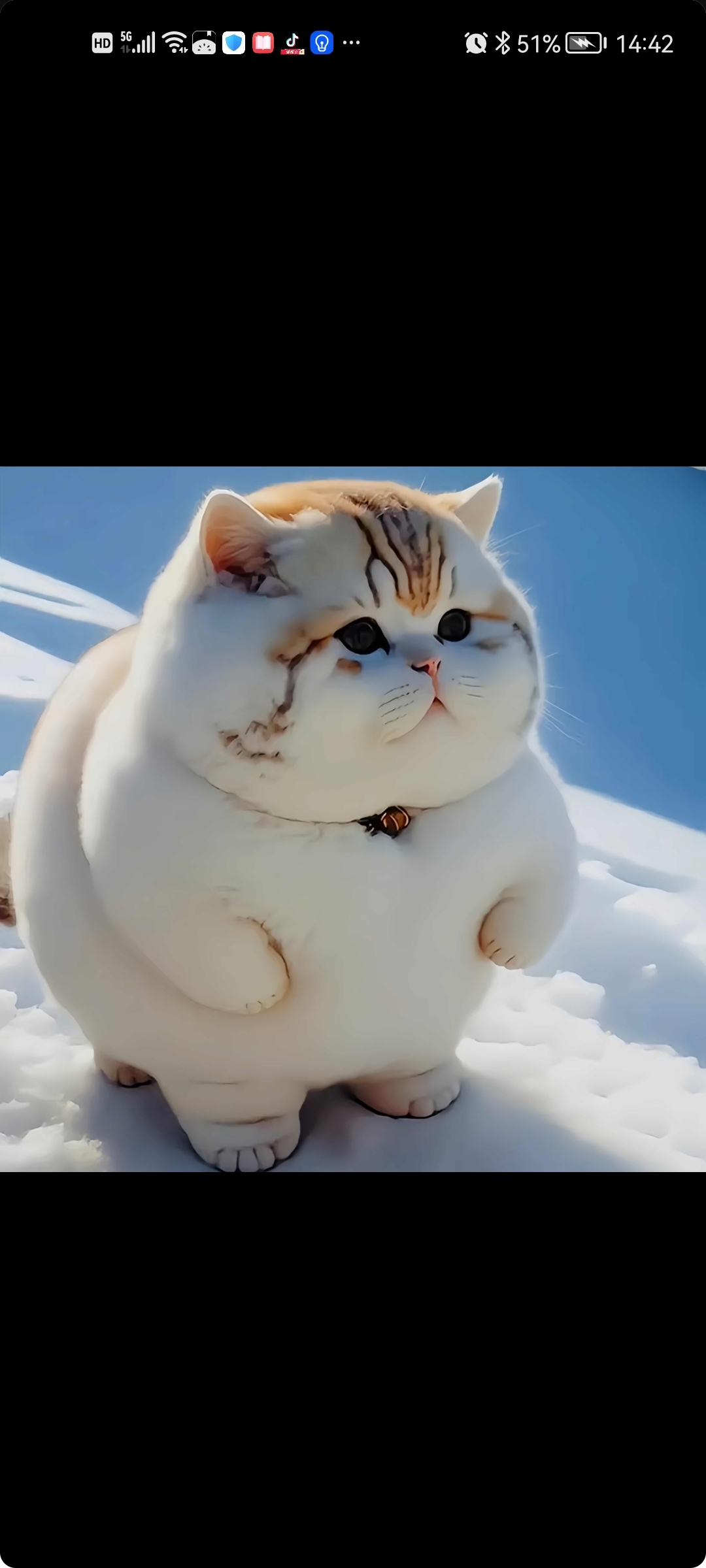 胖胖