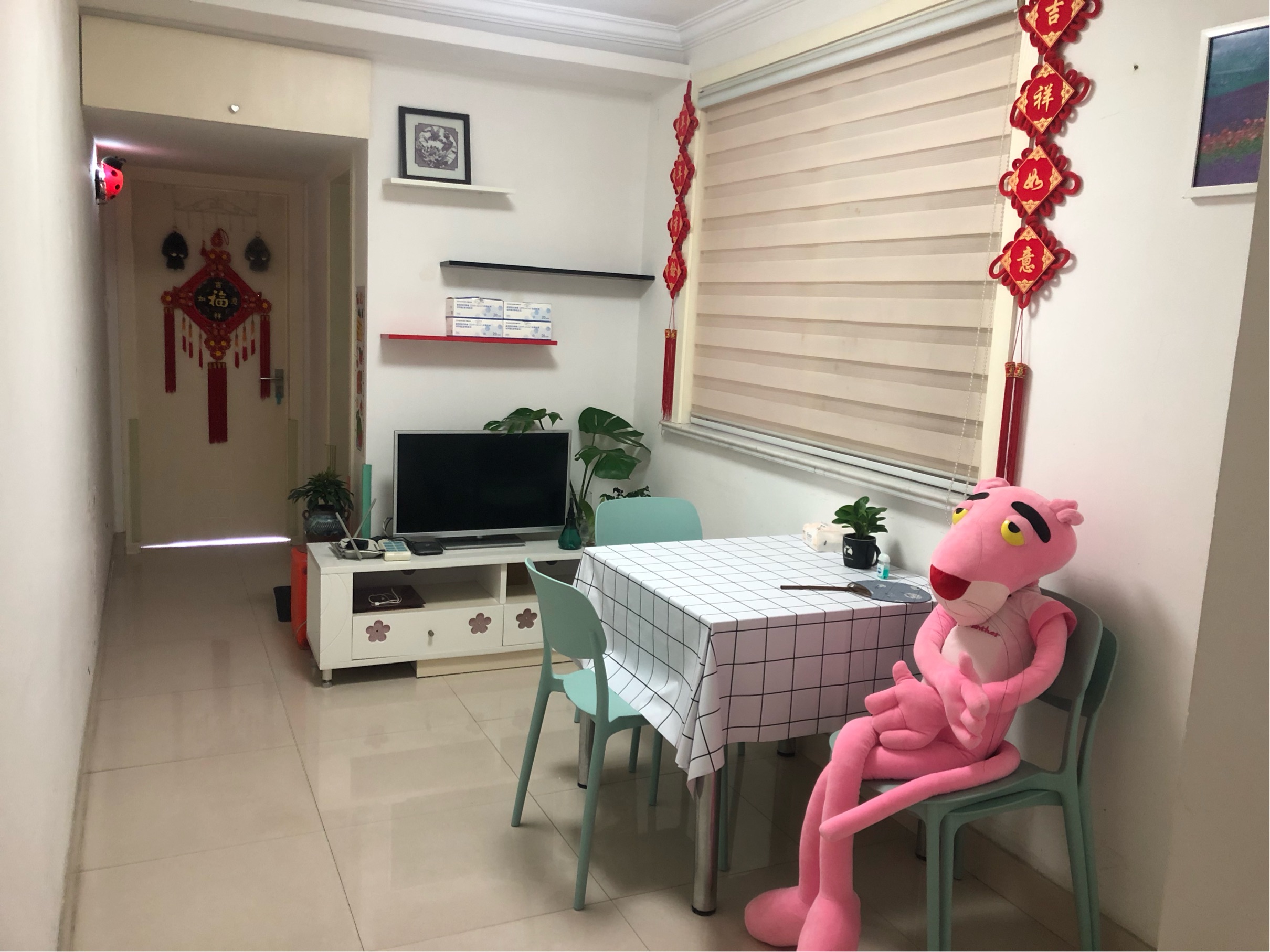 Shanghai-Xuhui-Cozy Home,Clean&Comfy,No Gender Limit,Chilled,Pet Friendly