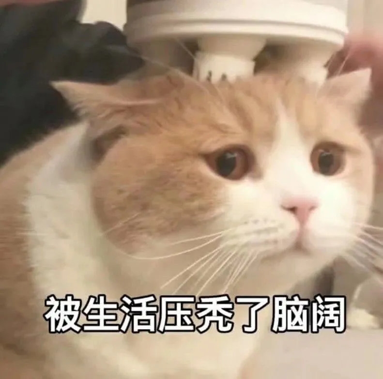 森