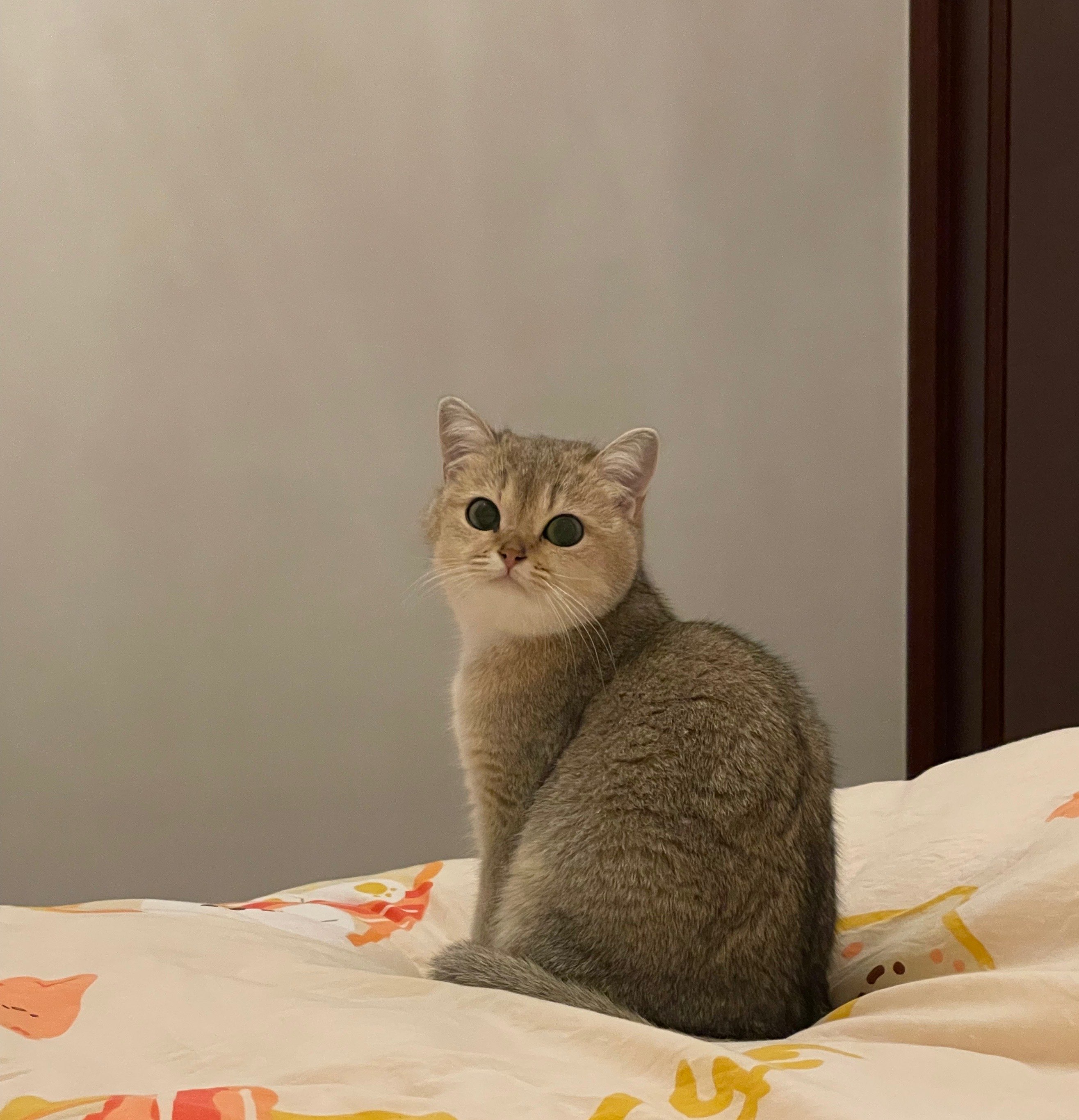 小宁