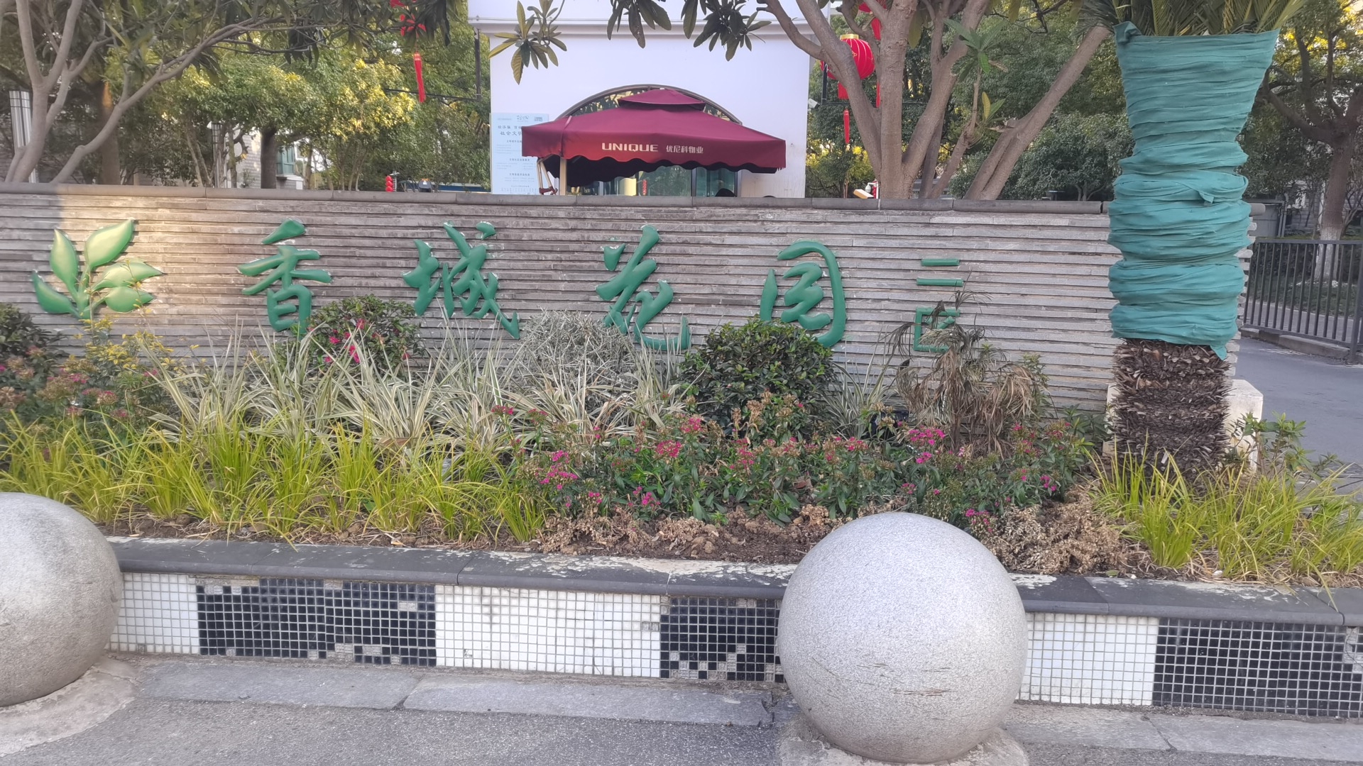 许女士