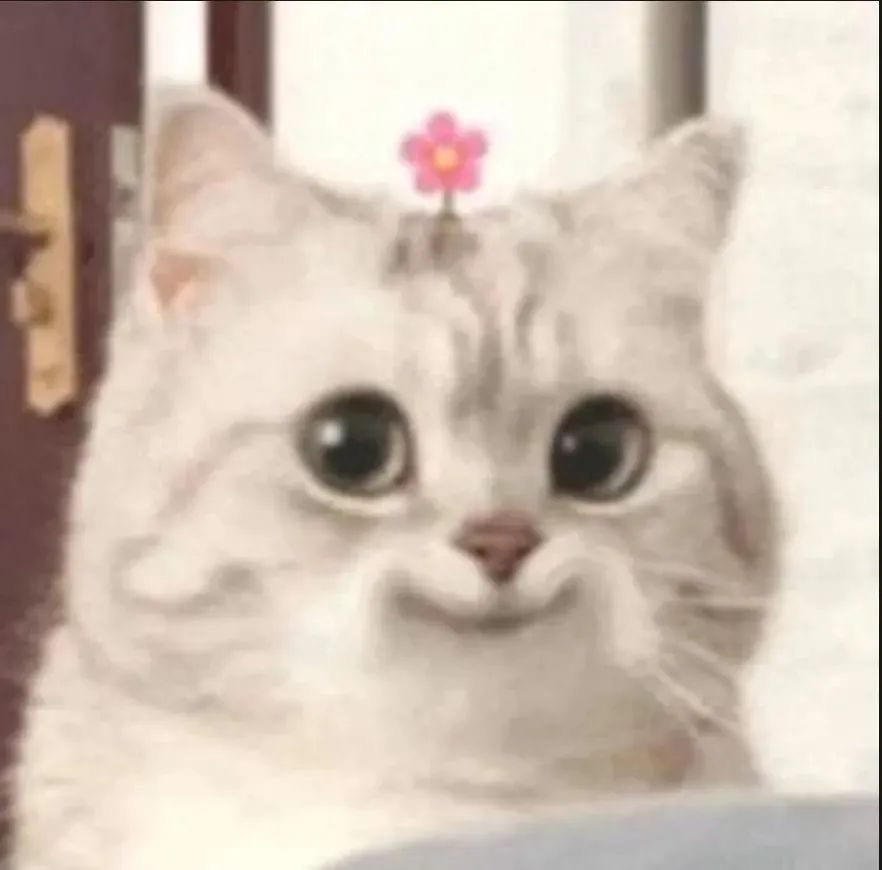 王先生