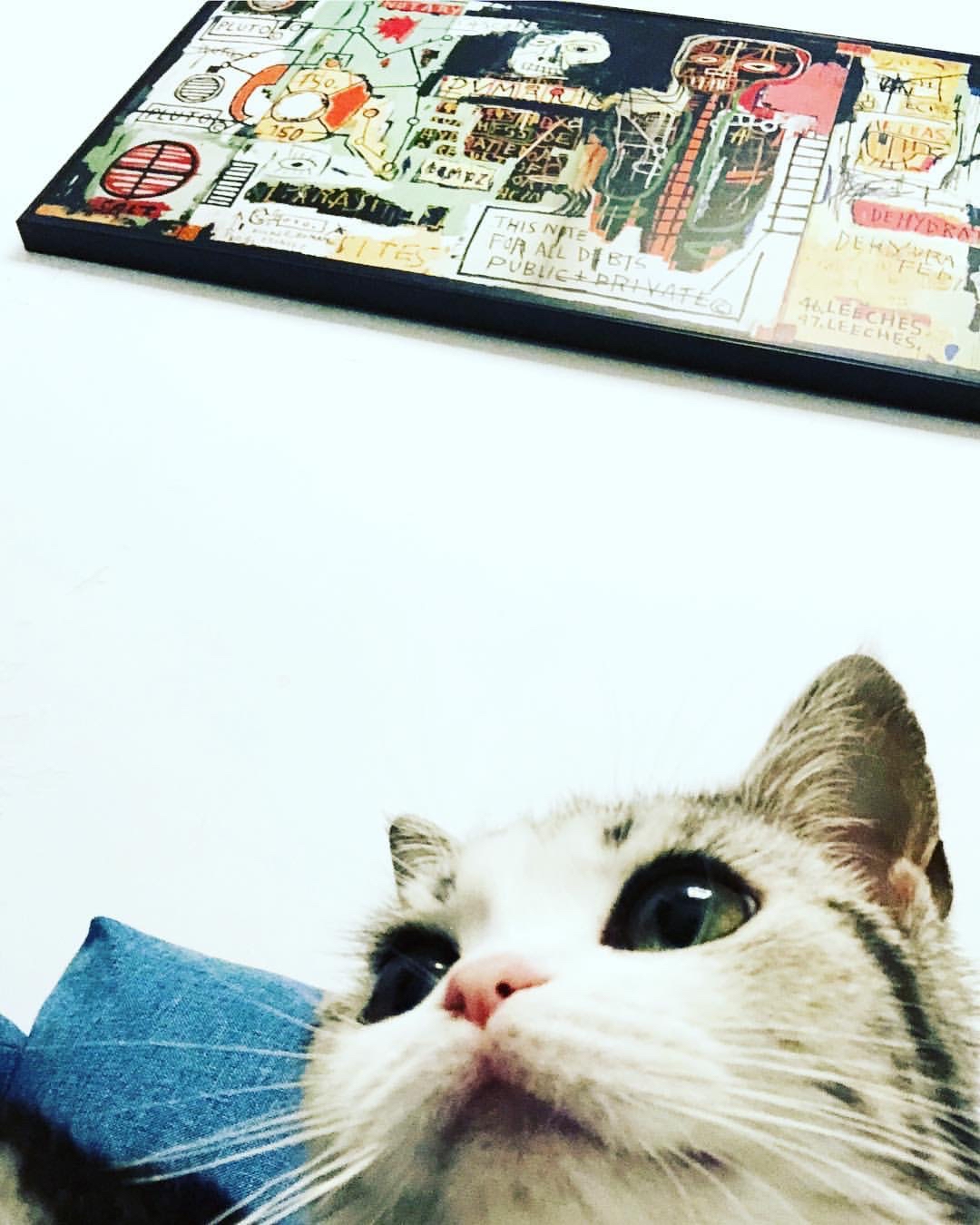 大潘
