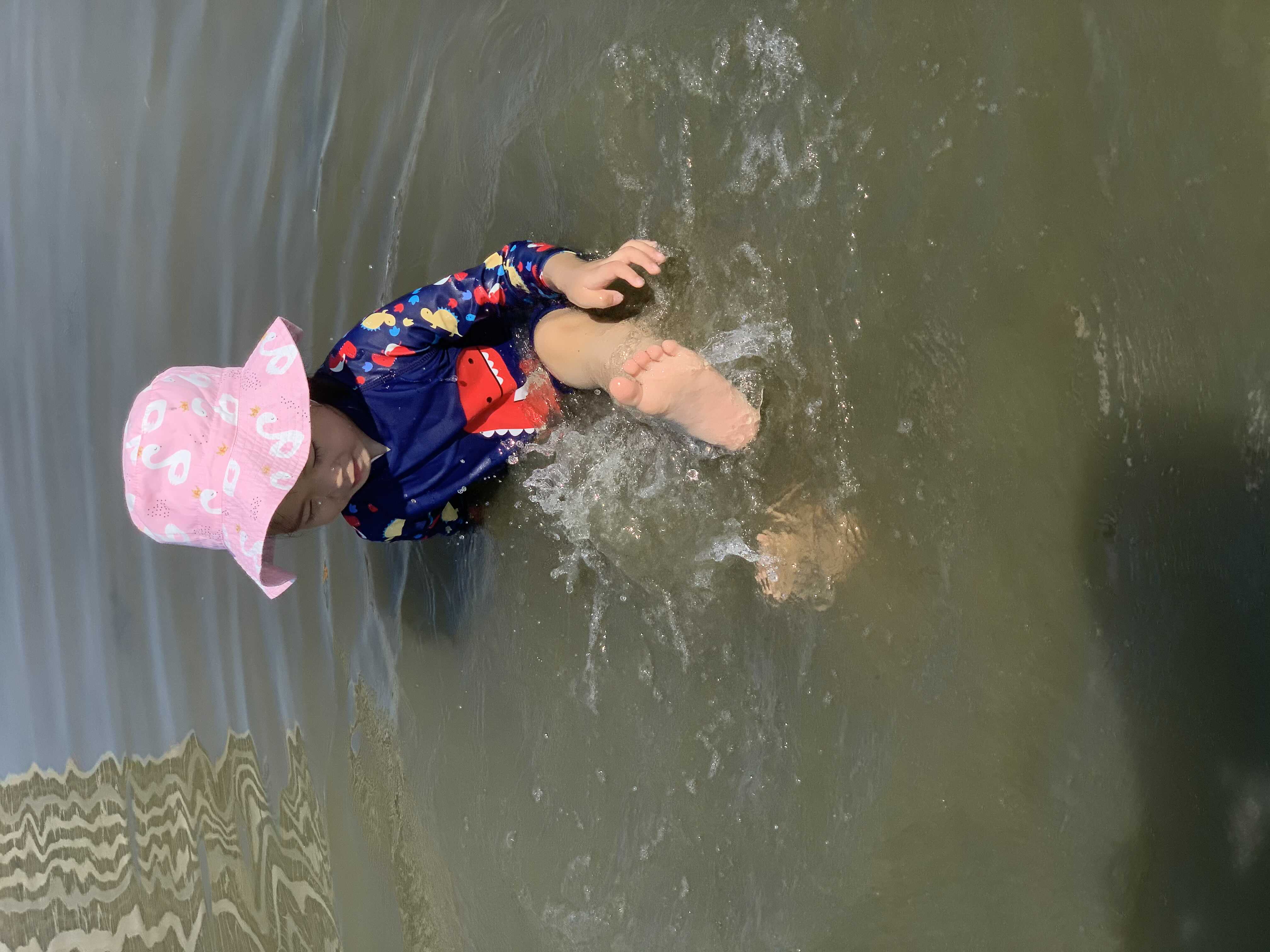 爱吃鱼丸的狮子