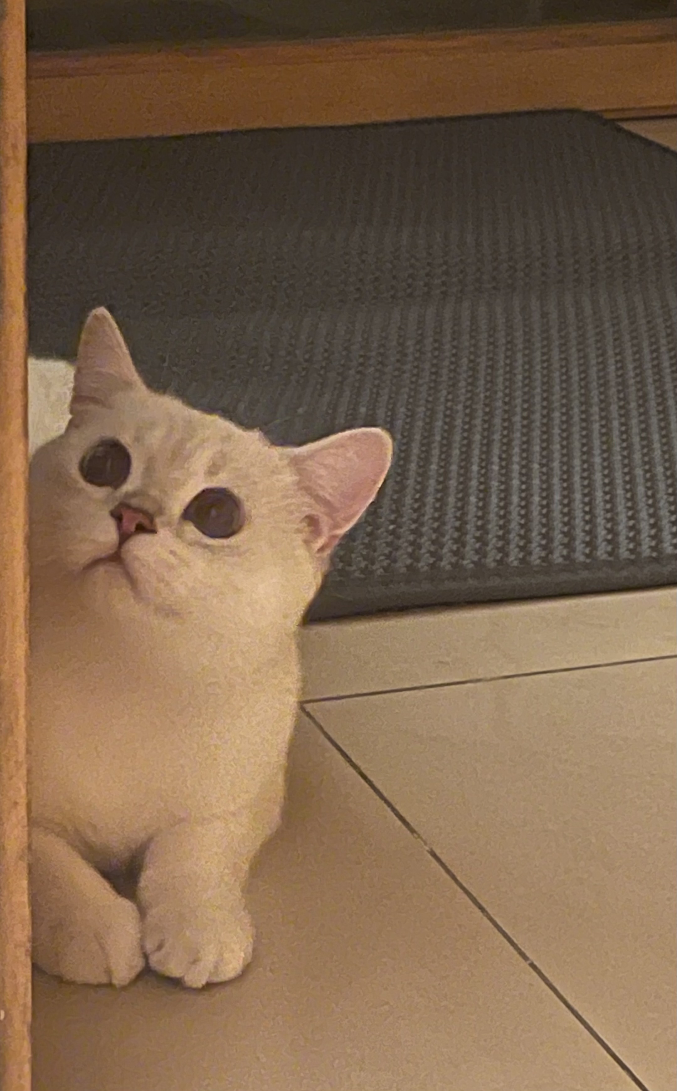 Yuki