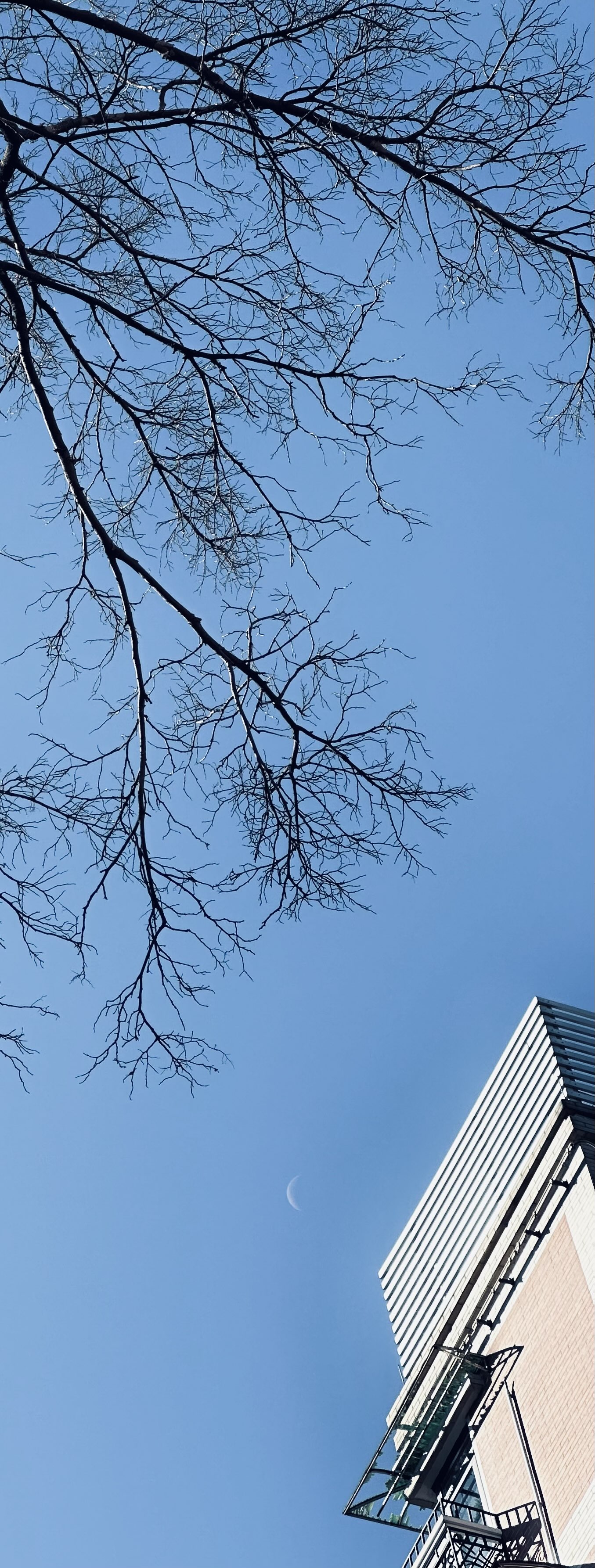 最近最满意的照片