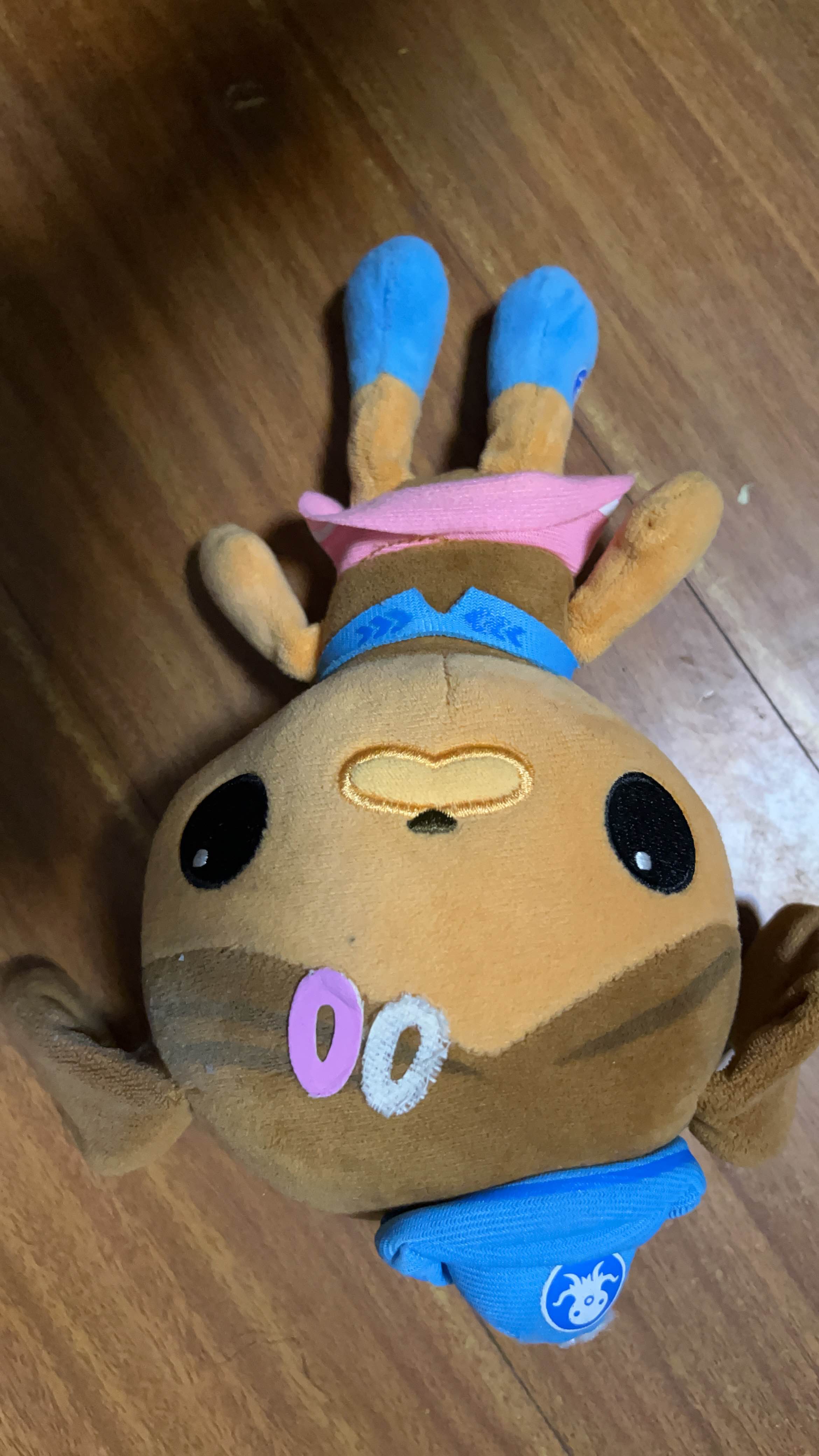 张倩