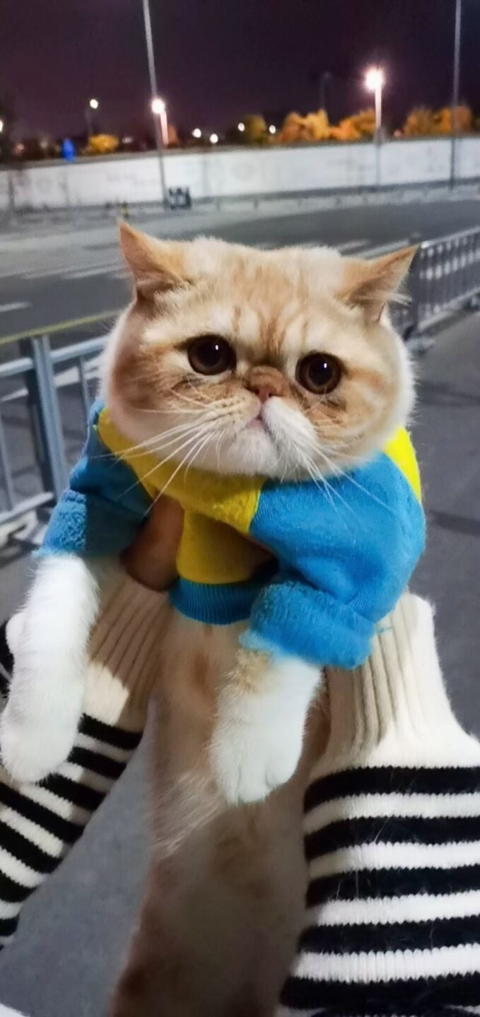 阿晚